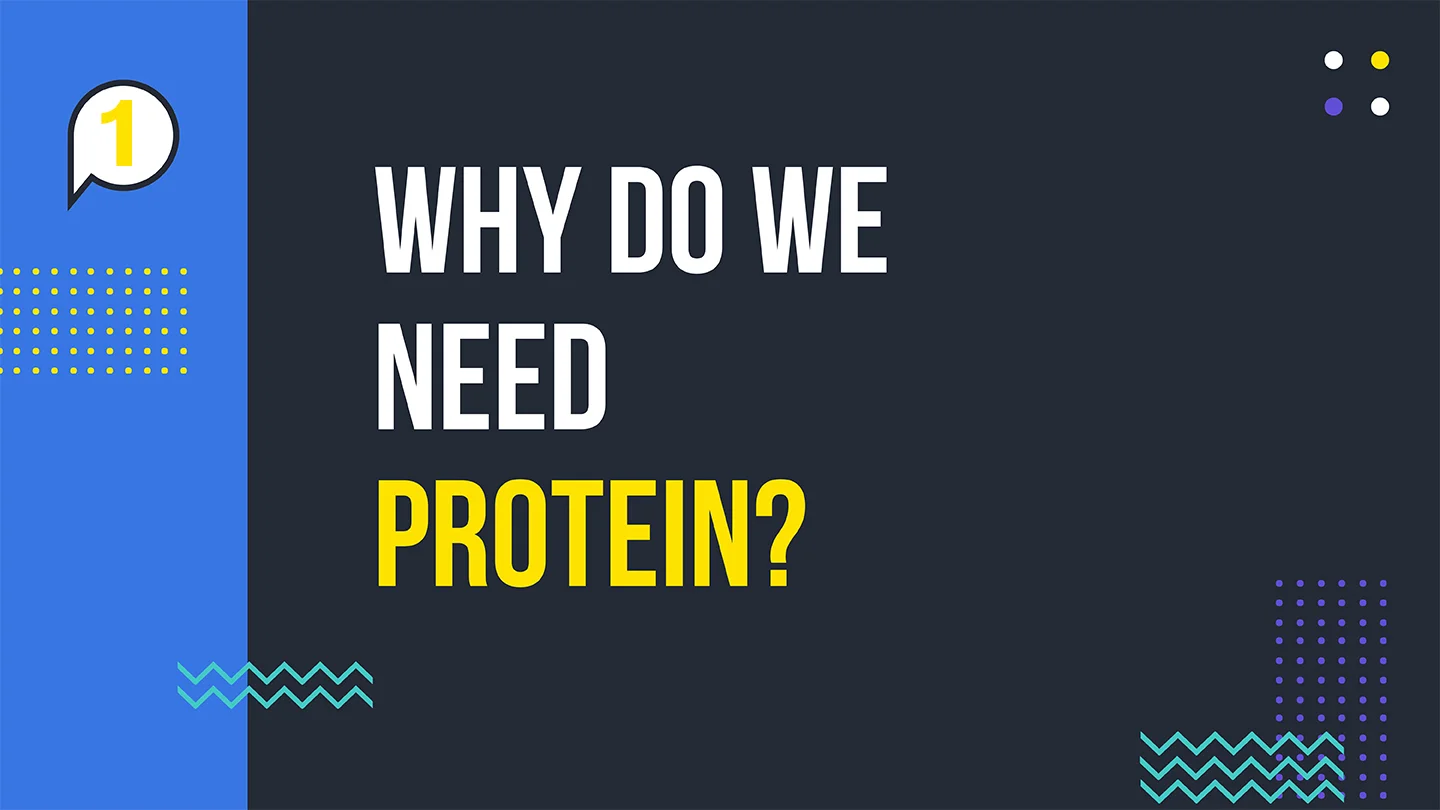why do we need protein.jpg