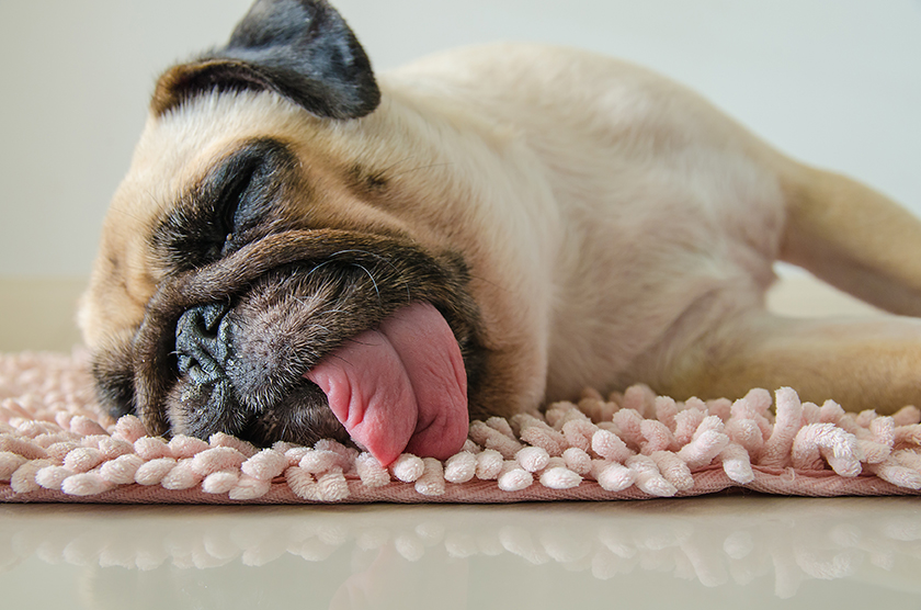 rest day opening.jpg
