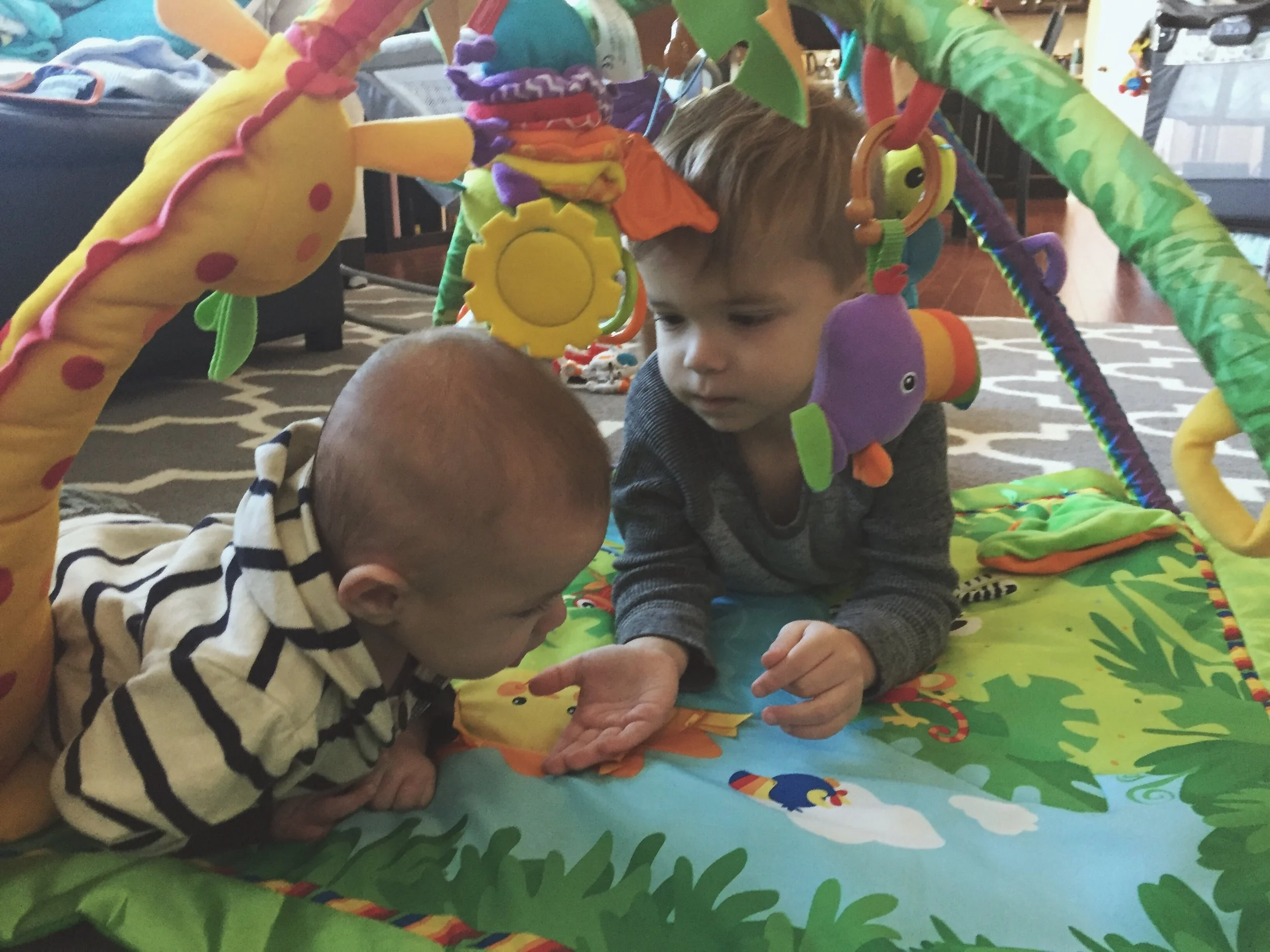 finishing out 2016 like