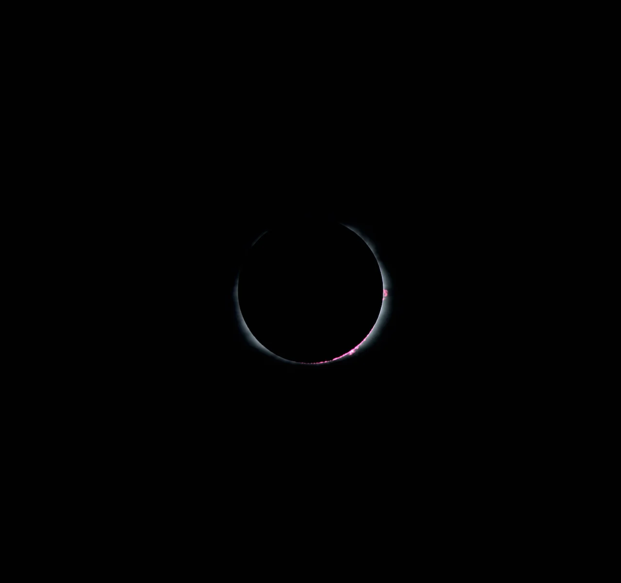 25-TotalityProminences2.jpg