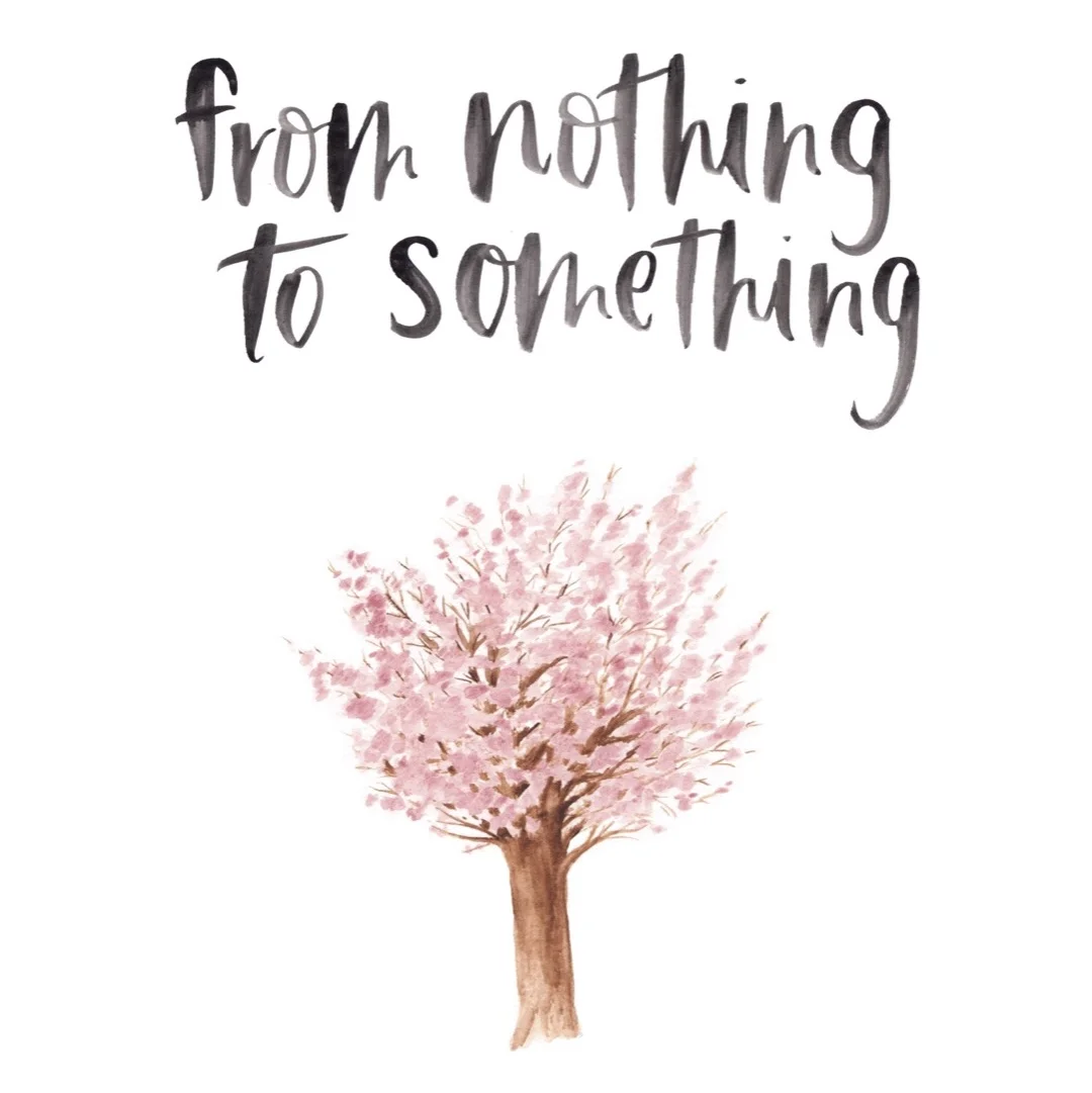 FROM NOTHING TO SOMETHING ebook