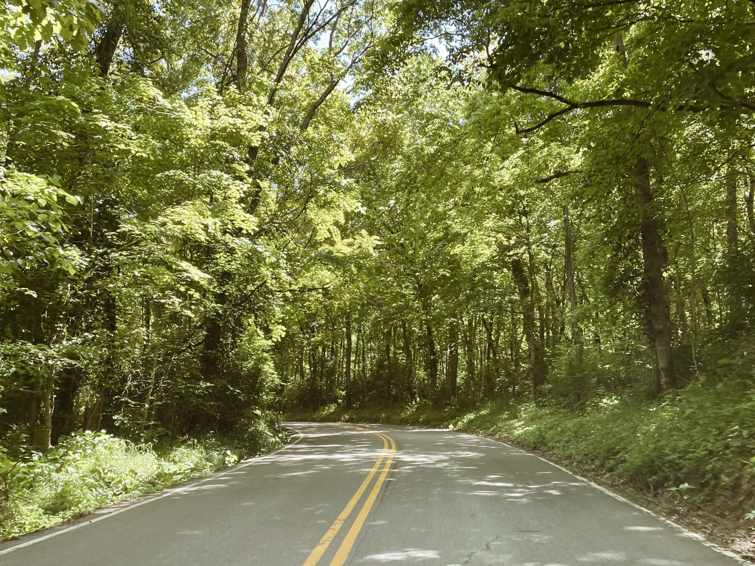 where else would i go?