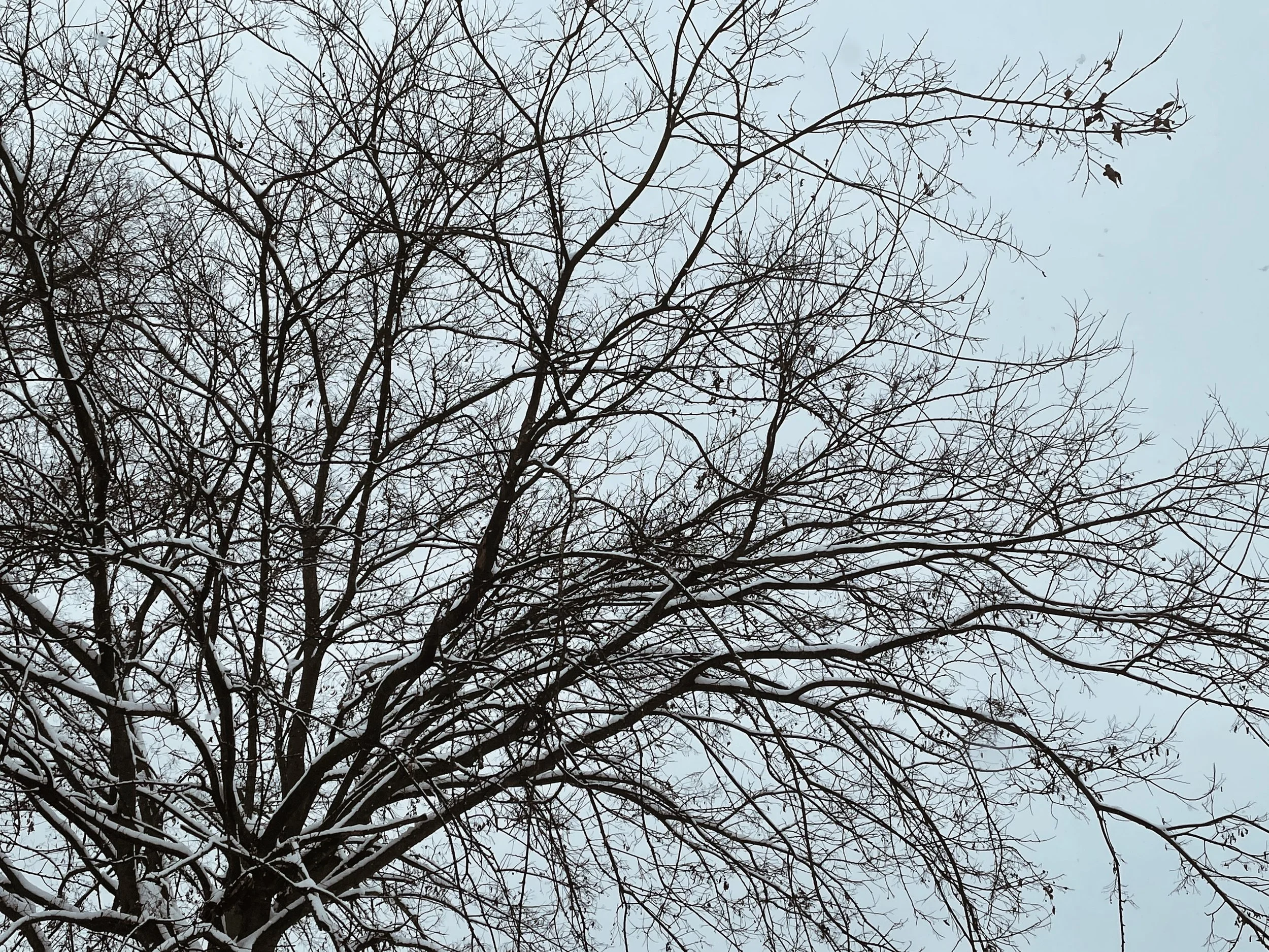 i don't think i can do this.