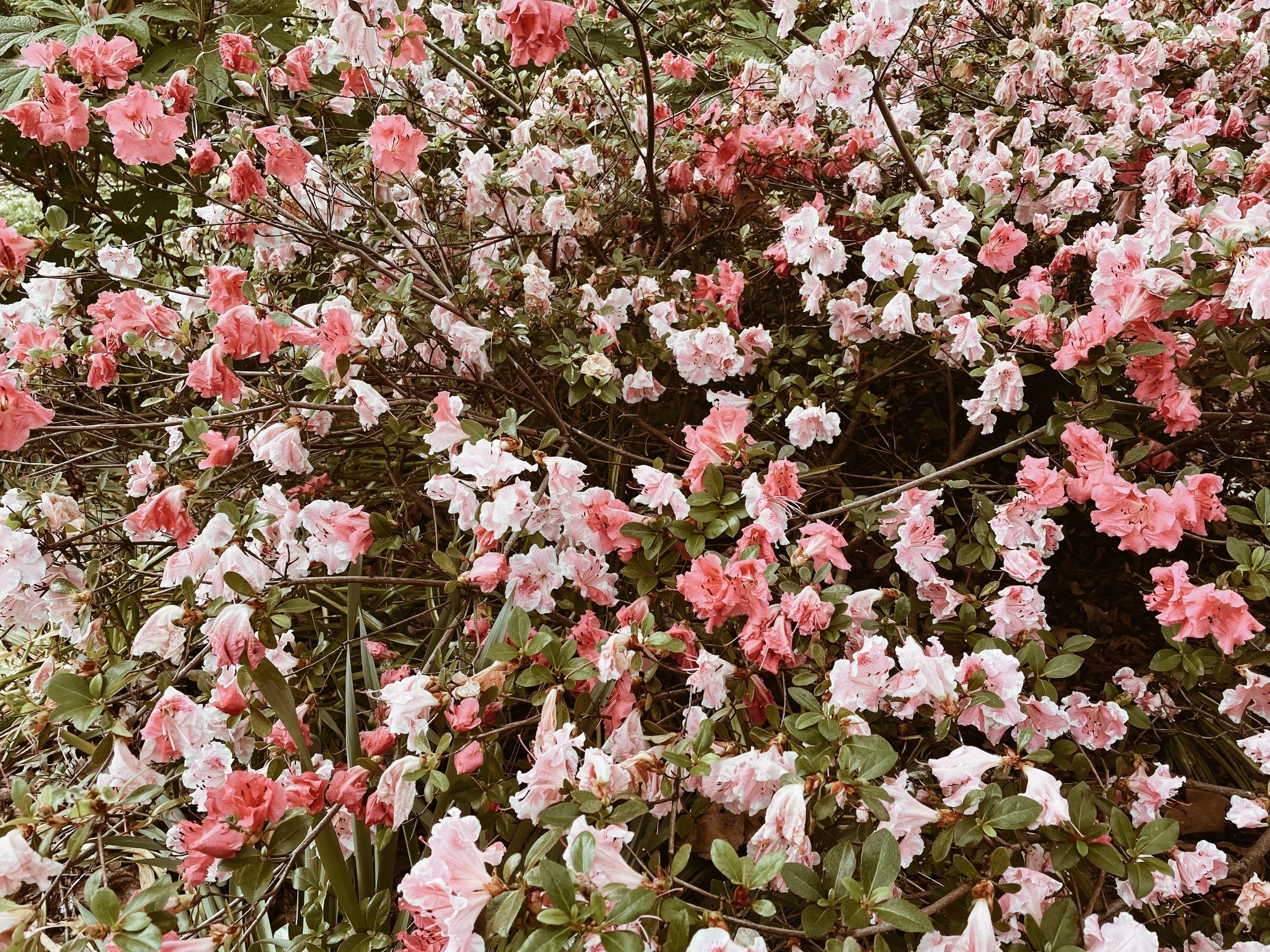 you're figuring it out.