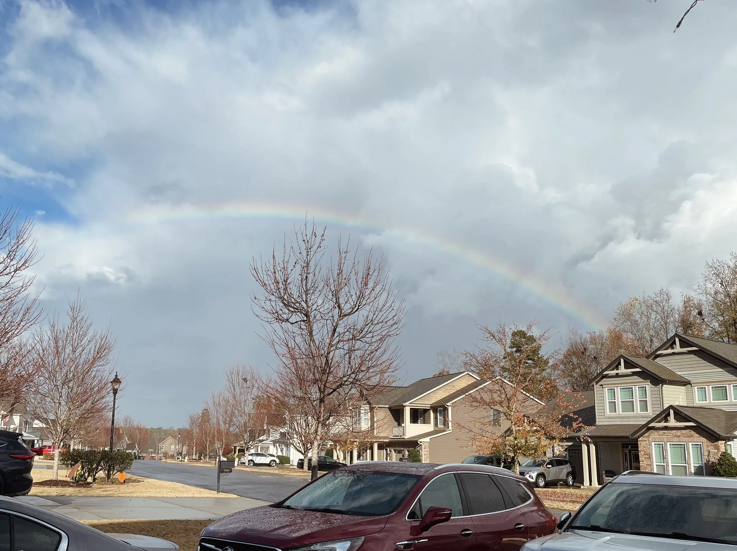 it's rain(bow) season.