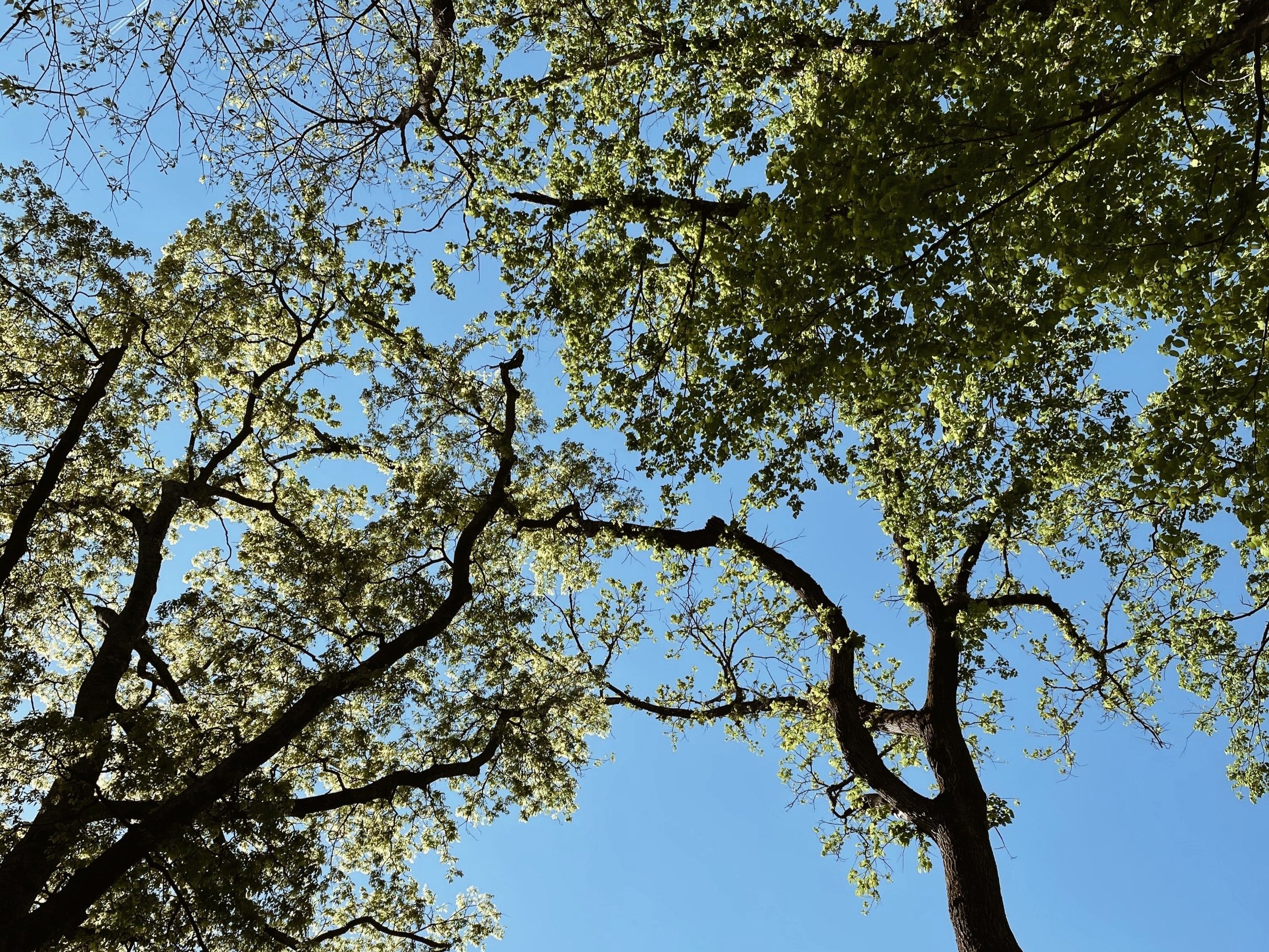 you're getting better.