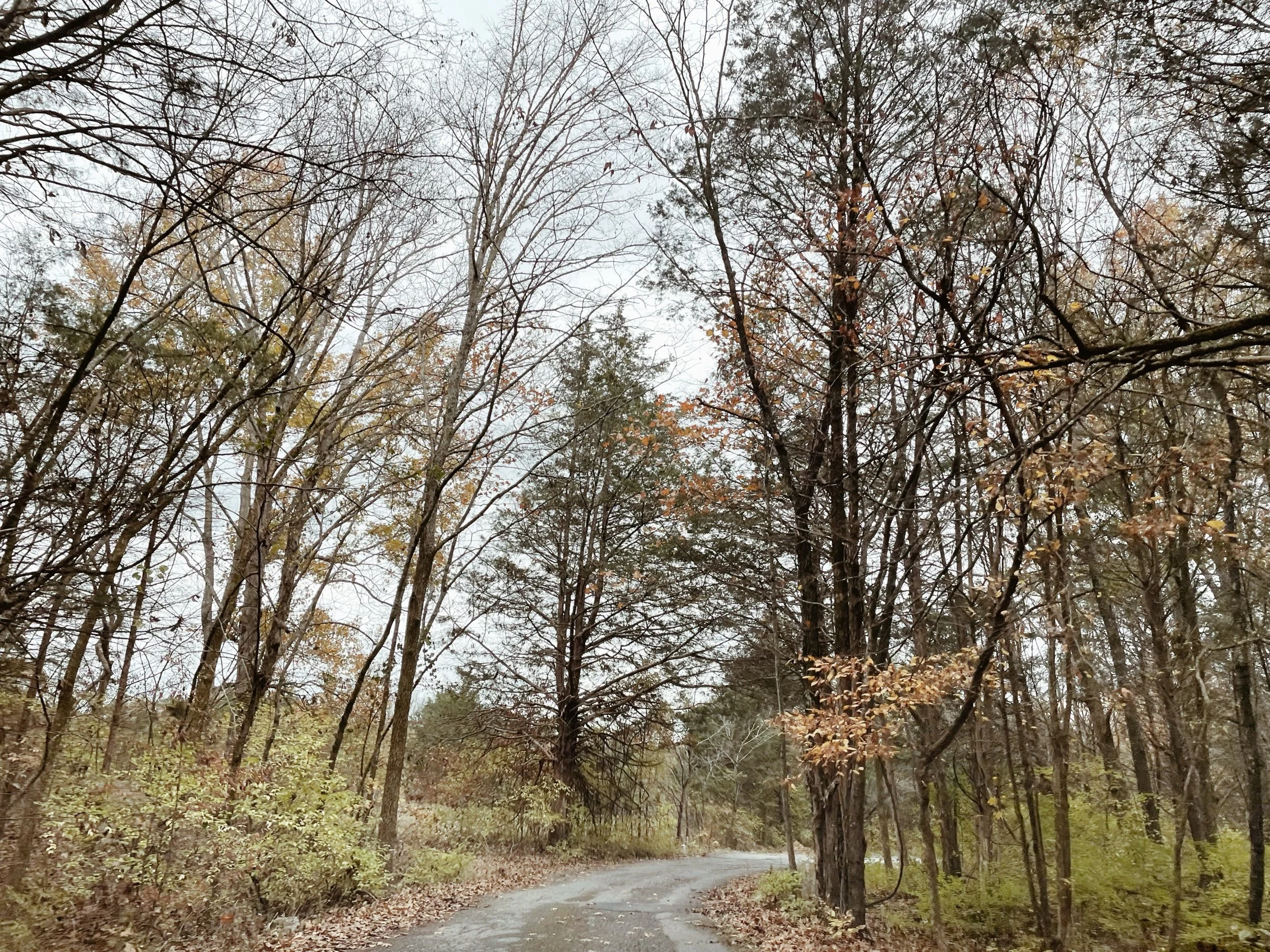 what are you saying?