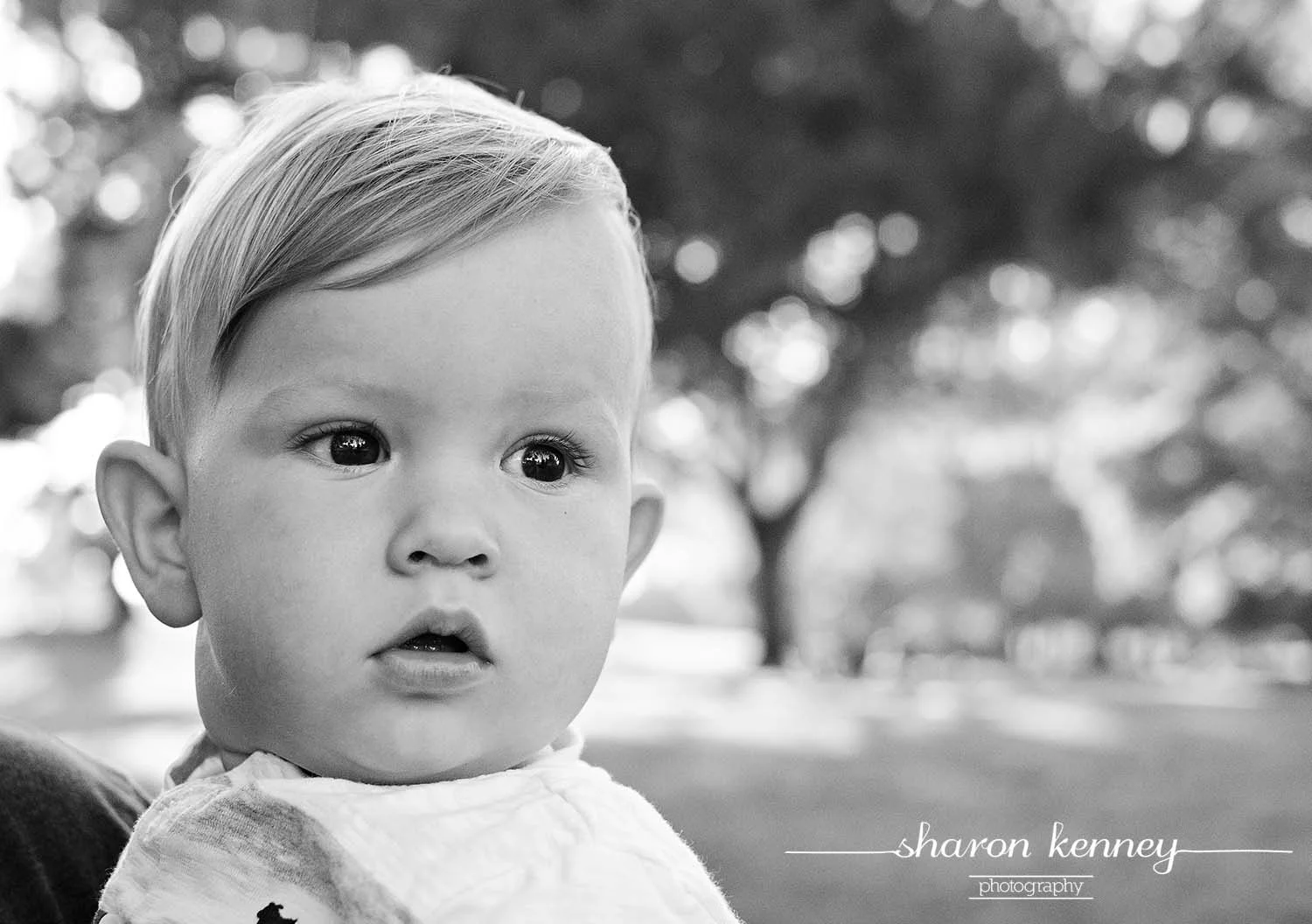 DSC_0007_bw_web.jpg