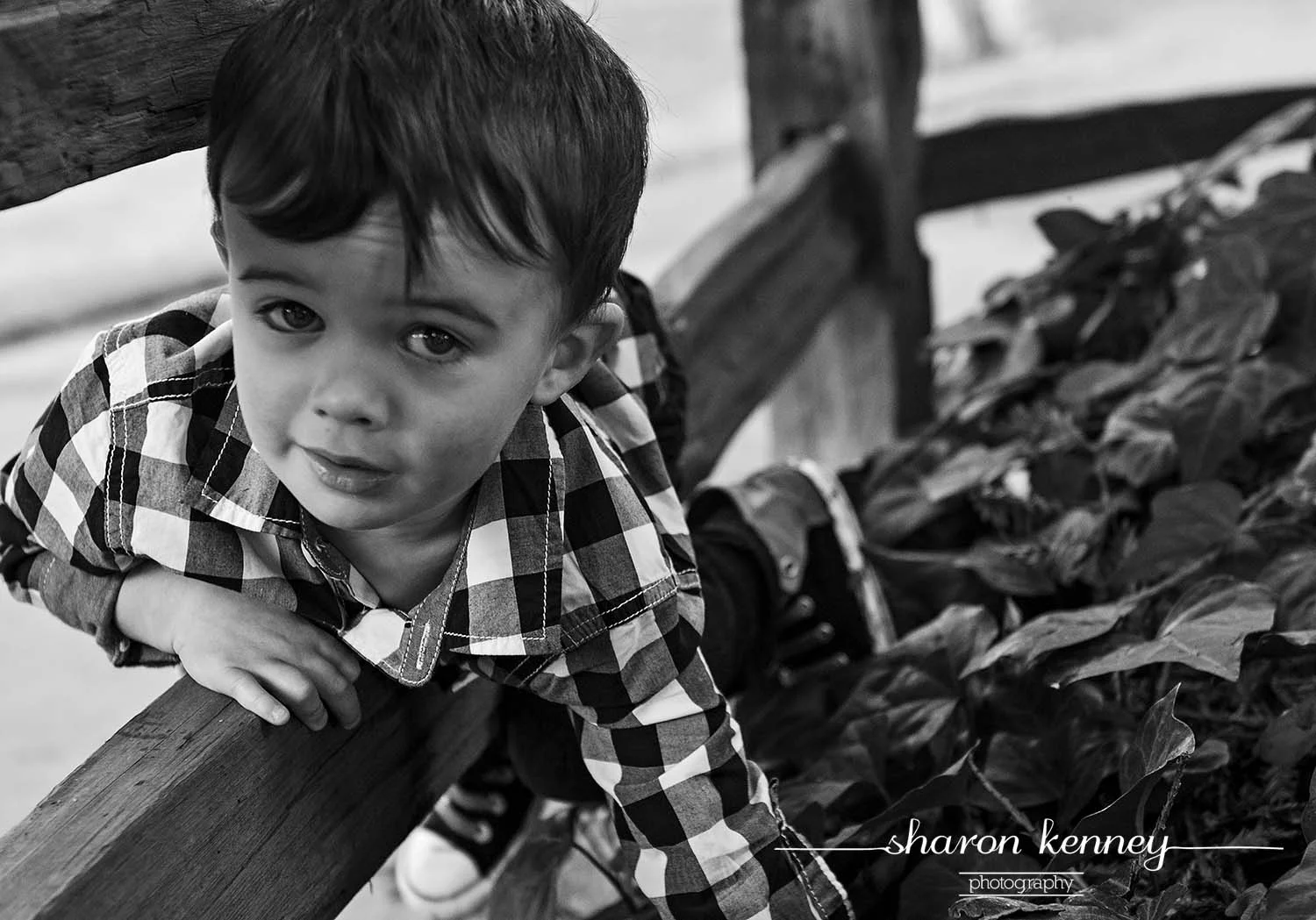 Stutzbach_262_bw_web.jpg