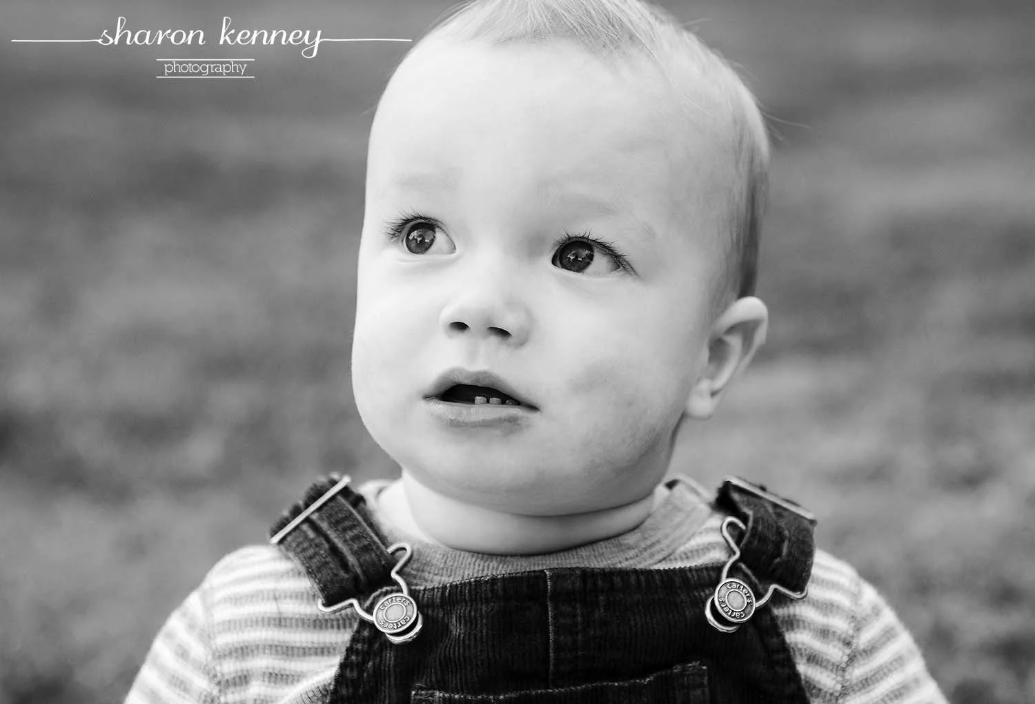 Stutzbach_384_bw_web.jpg