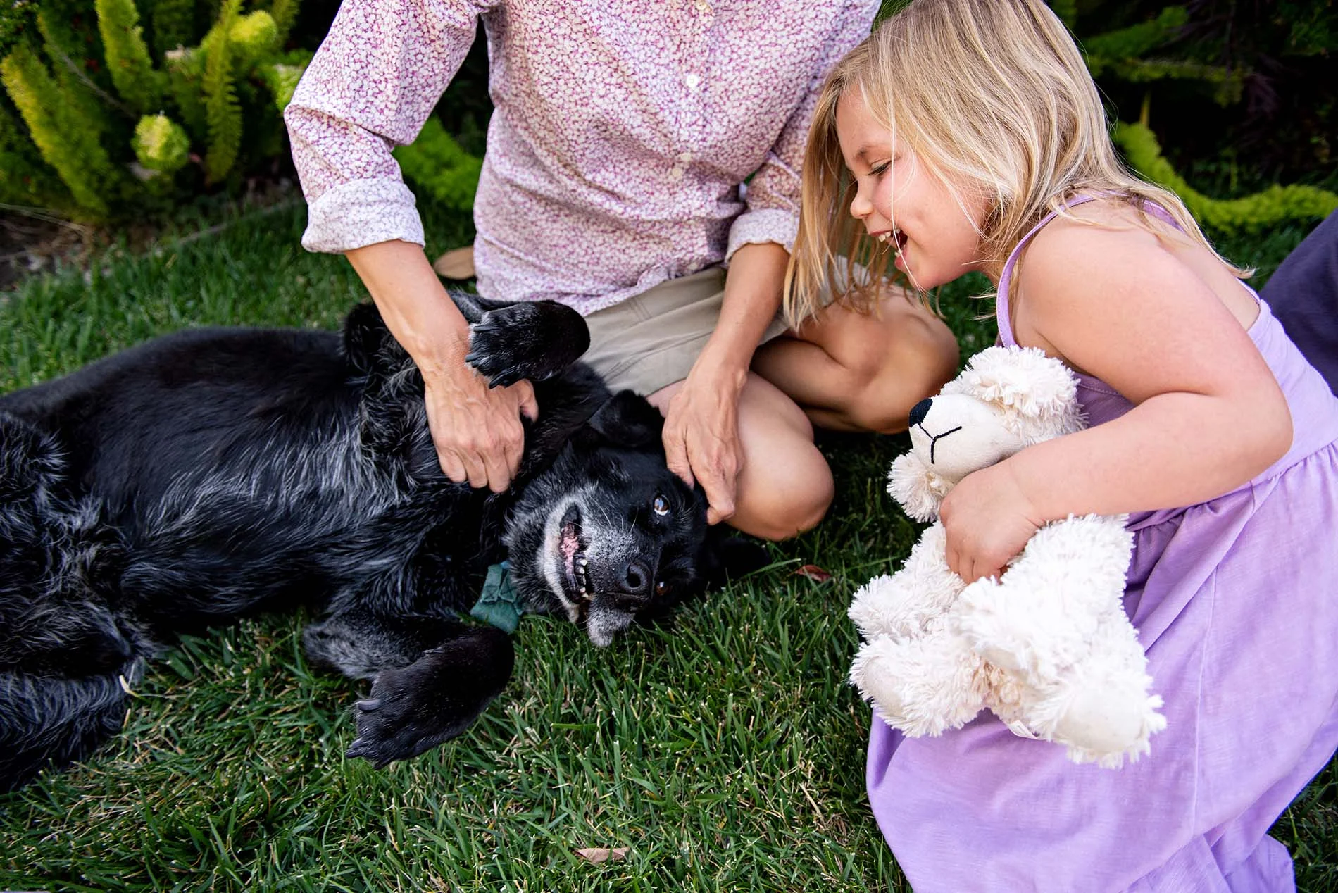 sharon kenney family photography mountain view girl dog