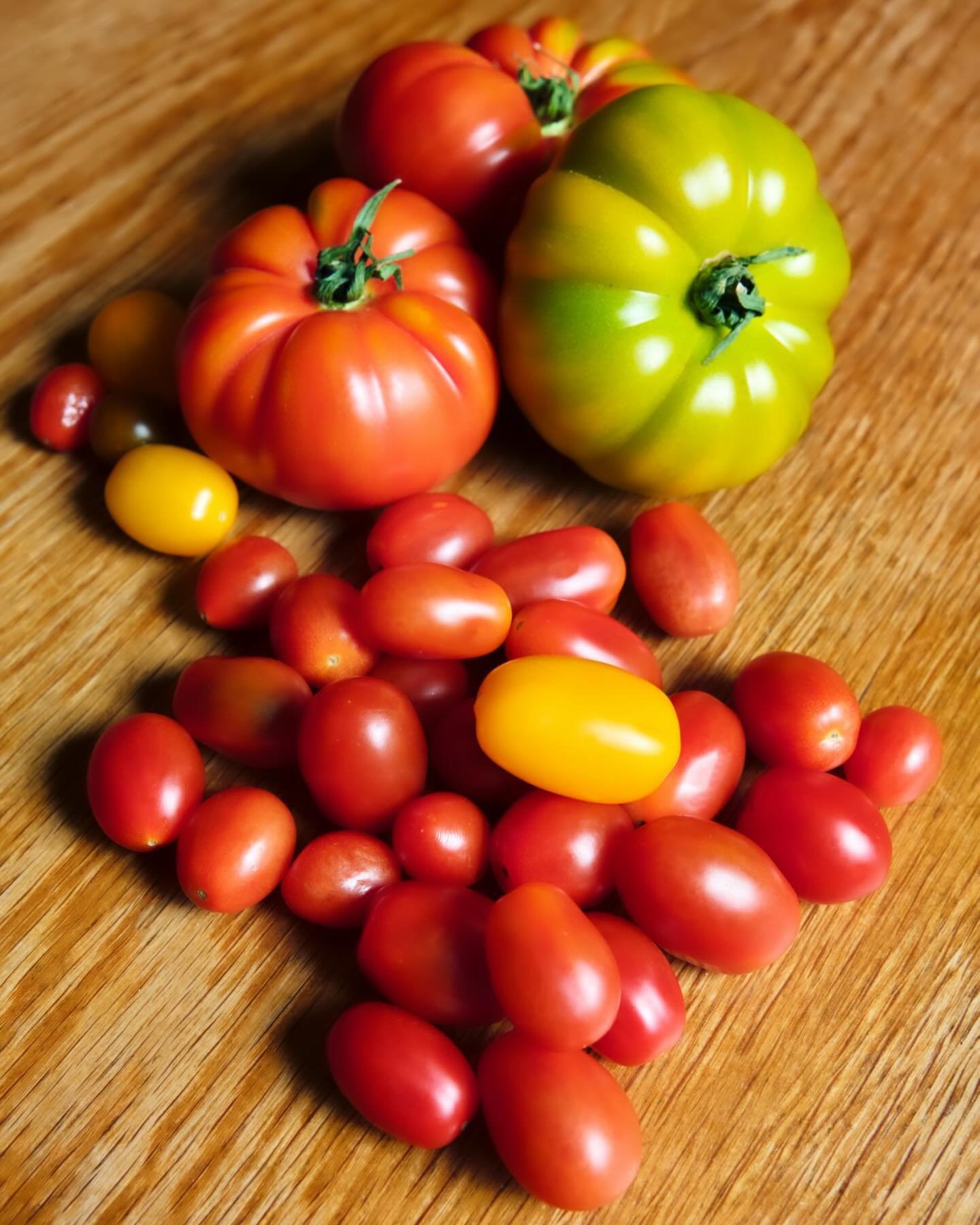 There&rsquo;s joy in finding the sauce in the most simple things. 😎

#cheftography #ohmywevecomealongway #louiie #2024 #selects #heirloomtomatoes #noncommercial #foodart #thesauce #skillingit