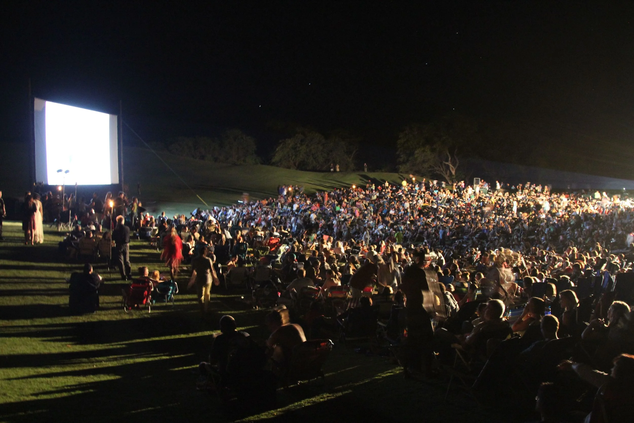 Maui-Film-Fest.jpg