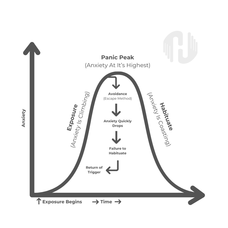 Habitutation Curve Horn Counseling- Safe, Professional & Affordable Therapy