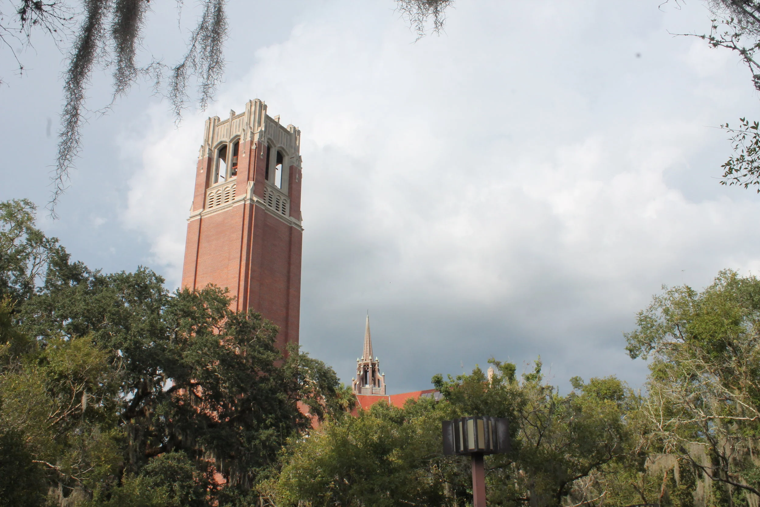 He can be a UF Gator- But There's a Catch