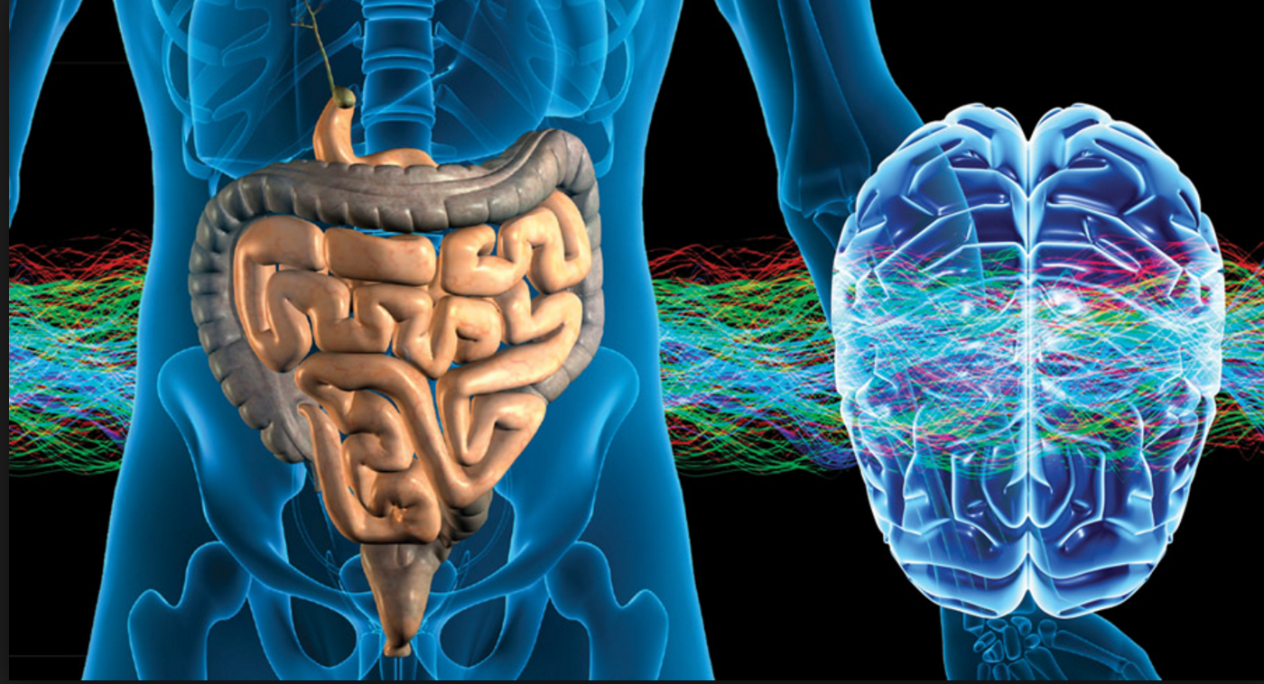 What's Your Gut Got to Do with Your Mood?