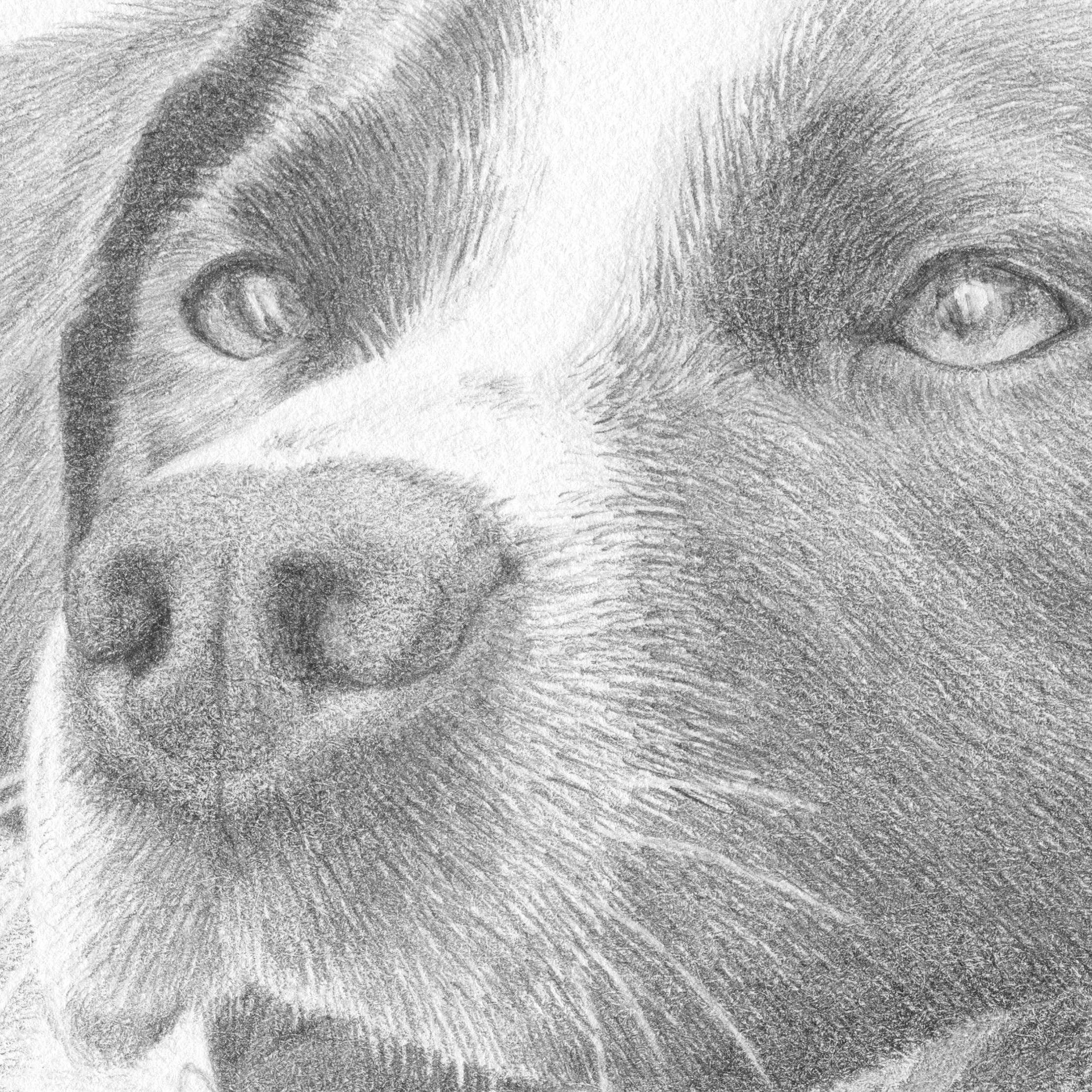 speckles (detail)