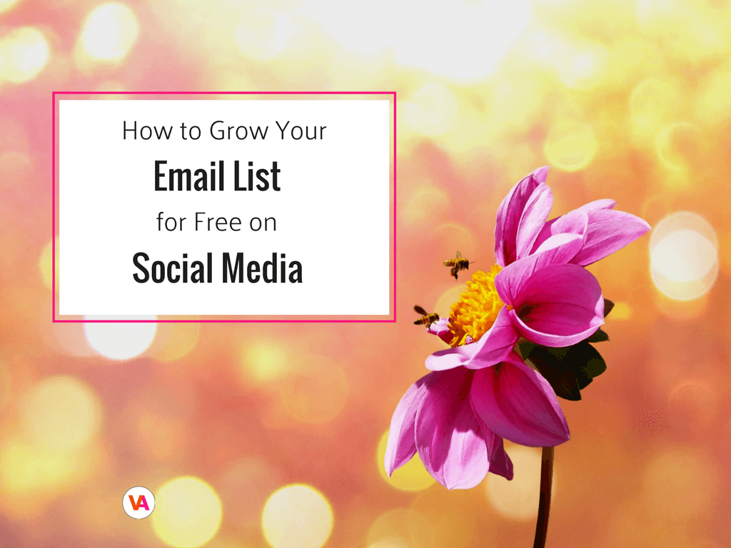 Email Marketing How to Grow your Email List on Social Media (website).png
