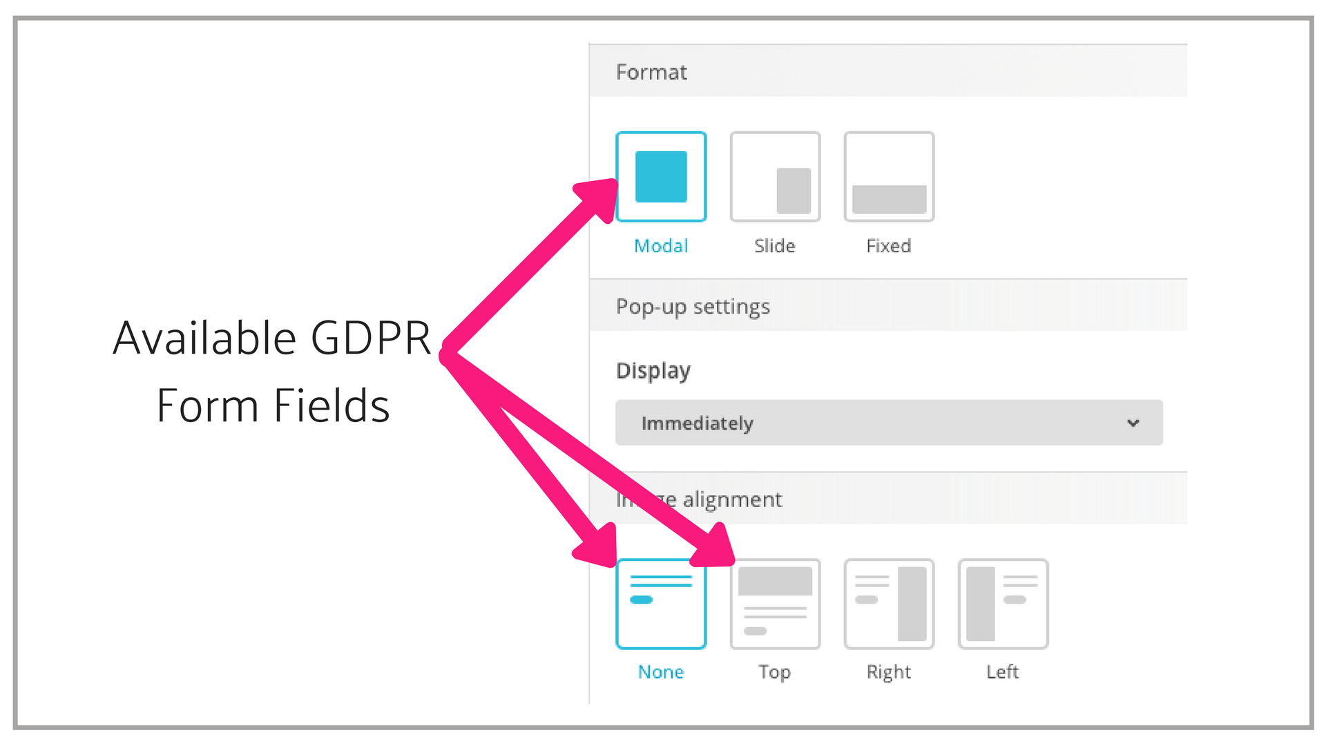GDPR Forms Fields in Pop-up forms.png
