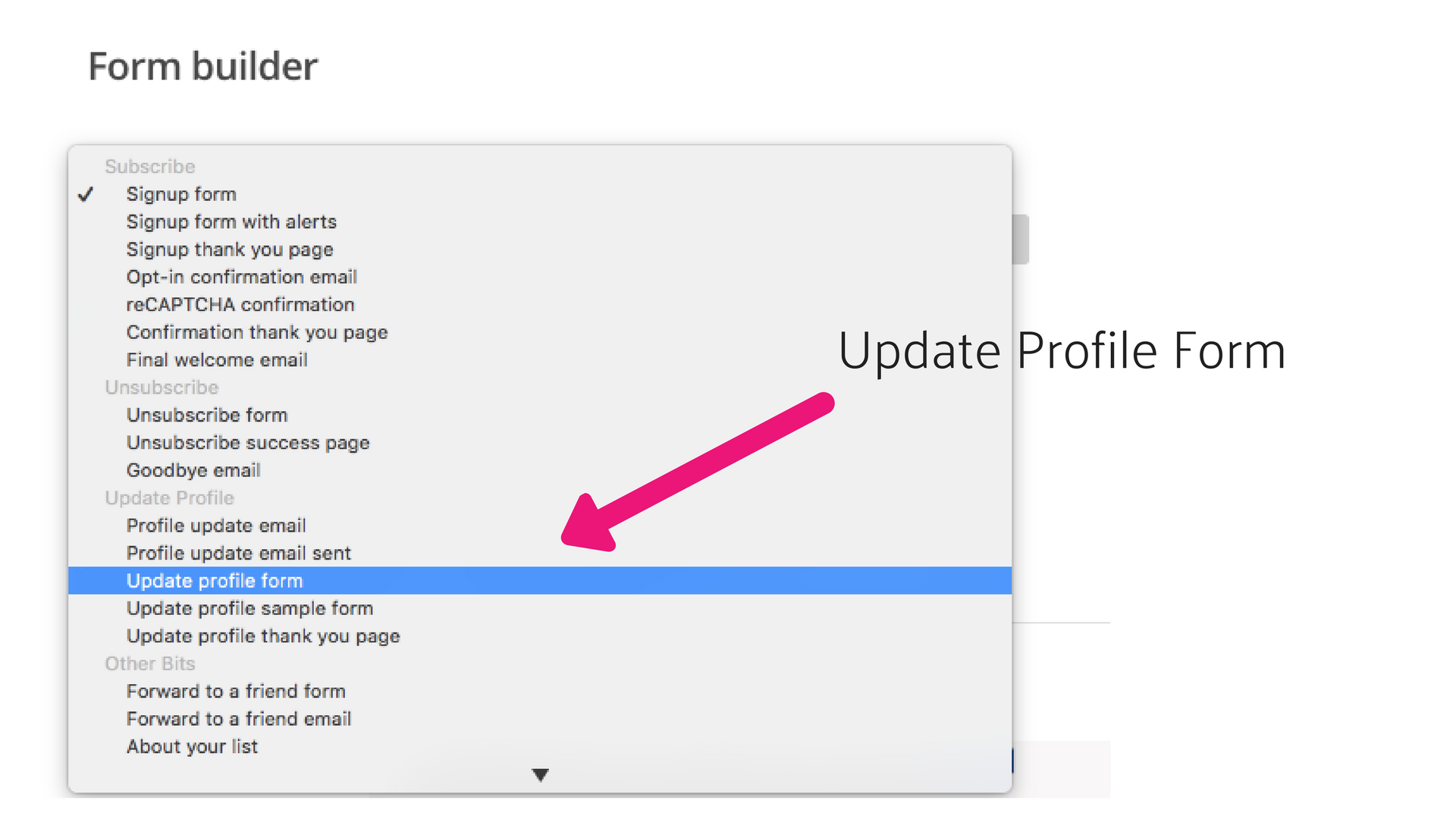 Update profile form in MailChimp.png