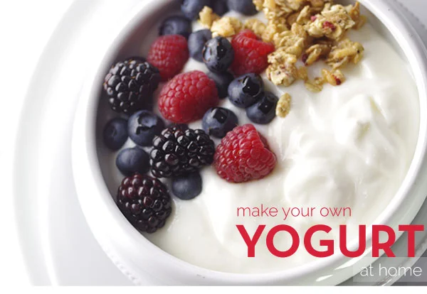 Jan. 19, 2017 - Making Your Own Yogurt at Home