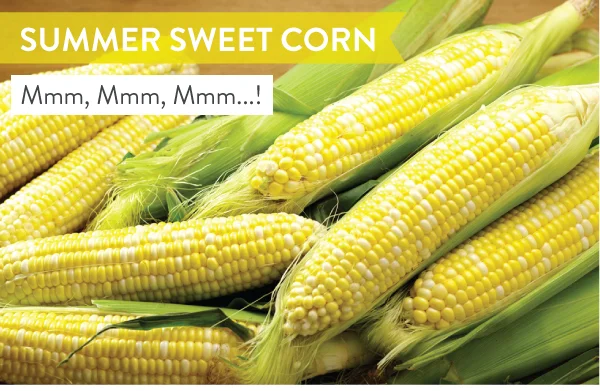 July 20, 2017 - More Ways to Enjoy Summer Sweet Corn