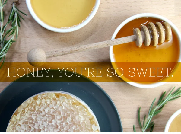 August 17, 2017 - Honey, You’re So Sweet!