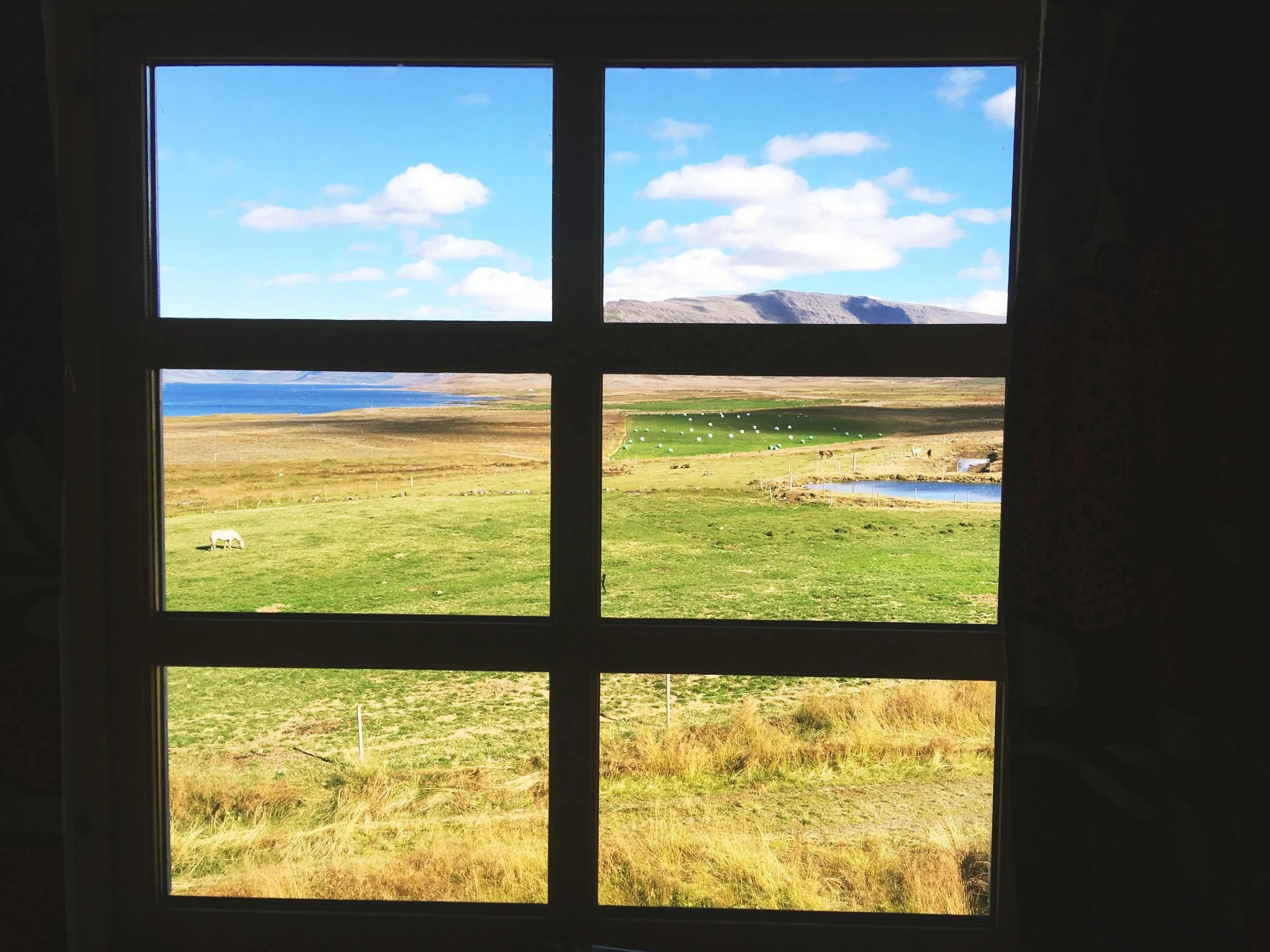 View from my room.