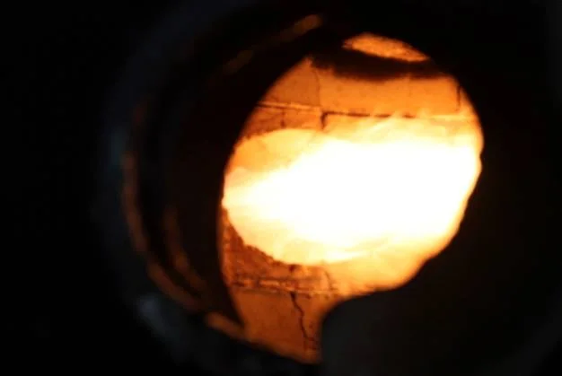 Some flame shots of the hydro-veggie tryout