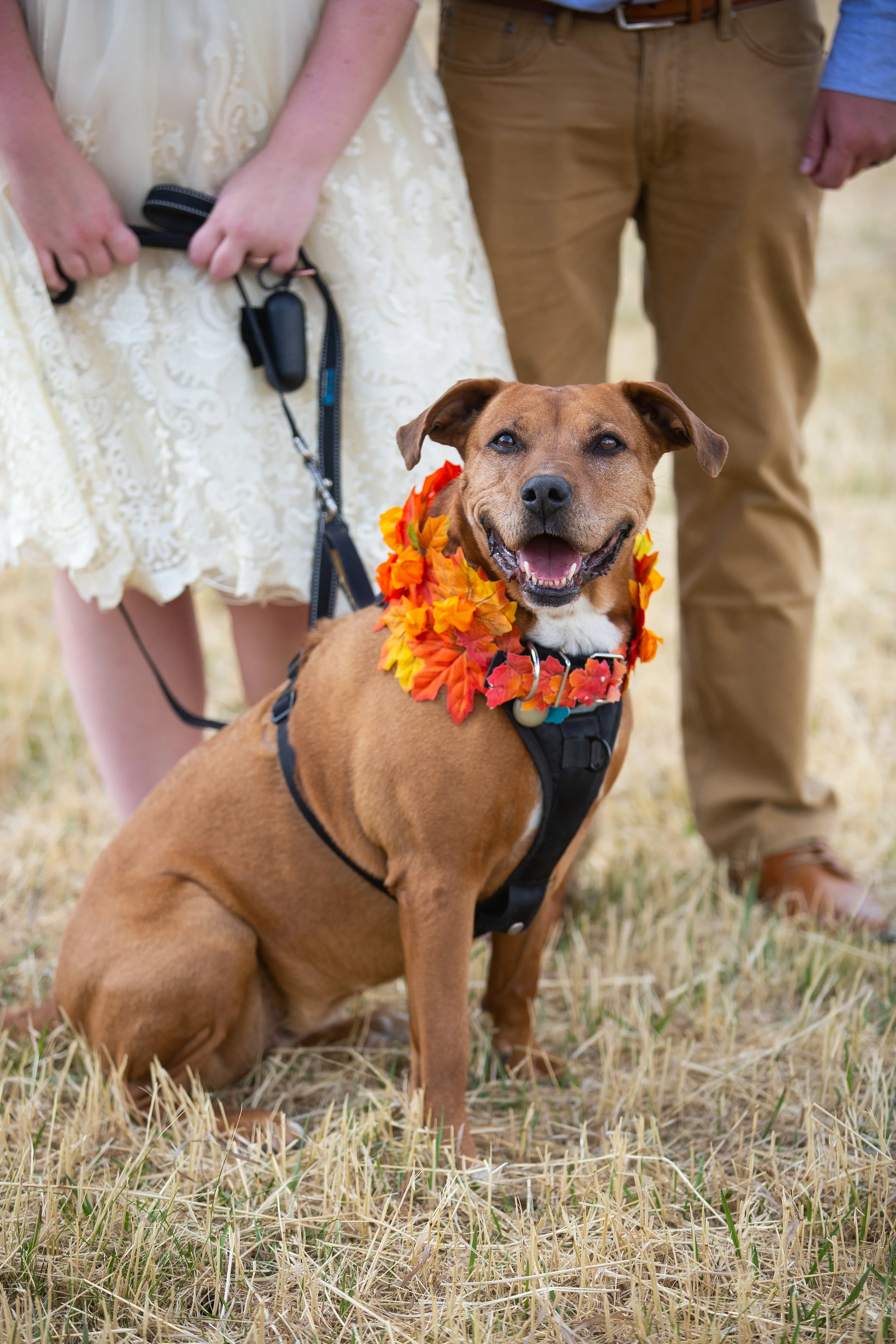 JordinChipWedding-137.jpg