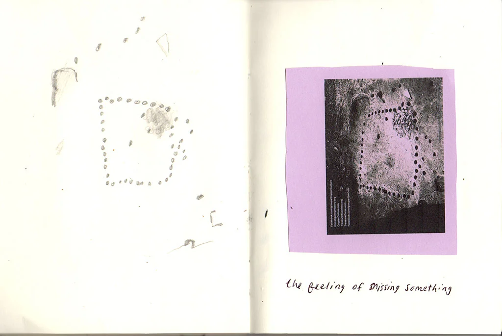 from Field Guide , graphite, ink, and xerox printout on paper, 2016