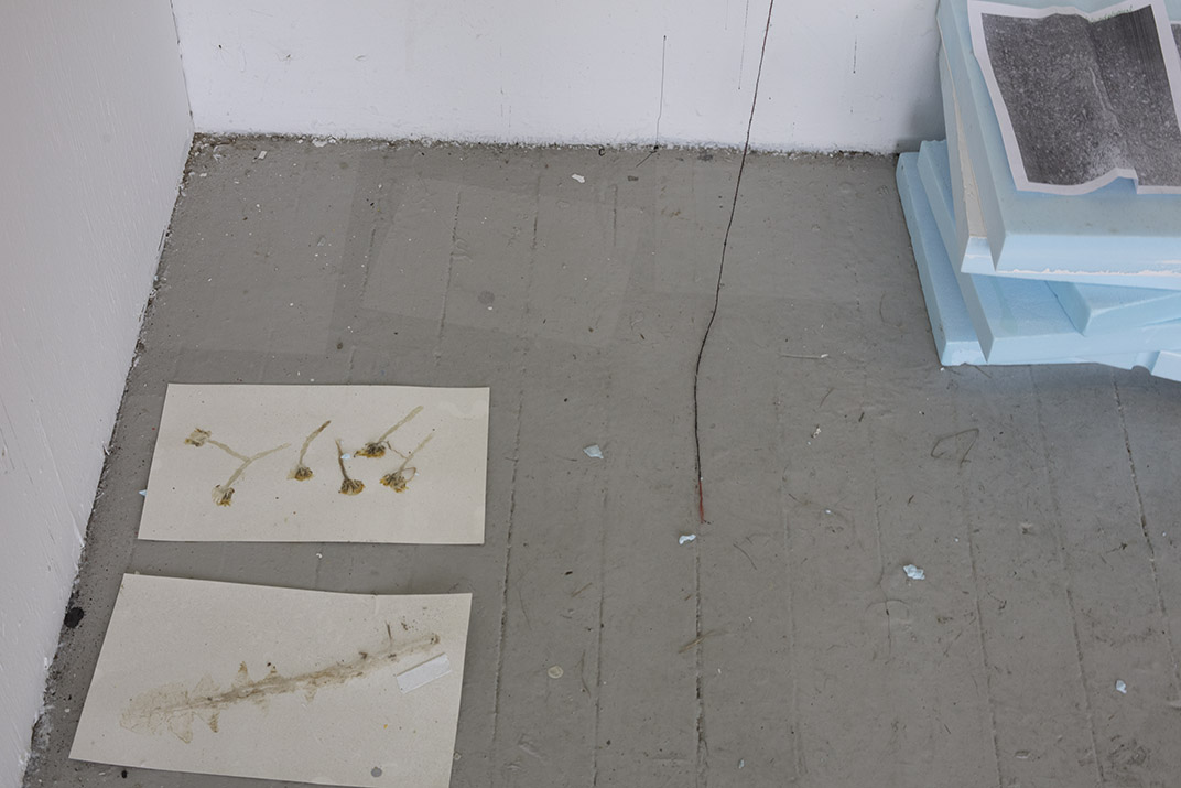 installskow18_floor.jpg