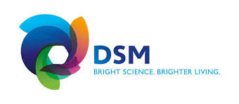 DSM.jpeg
