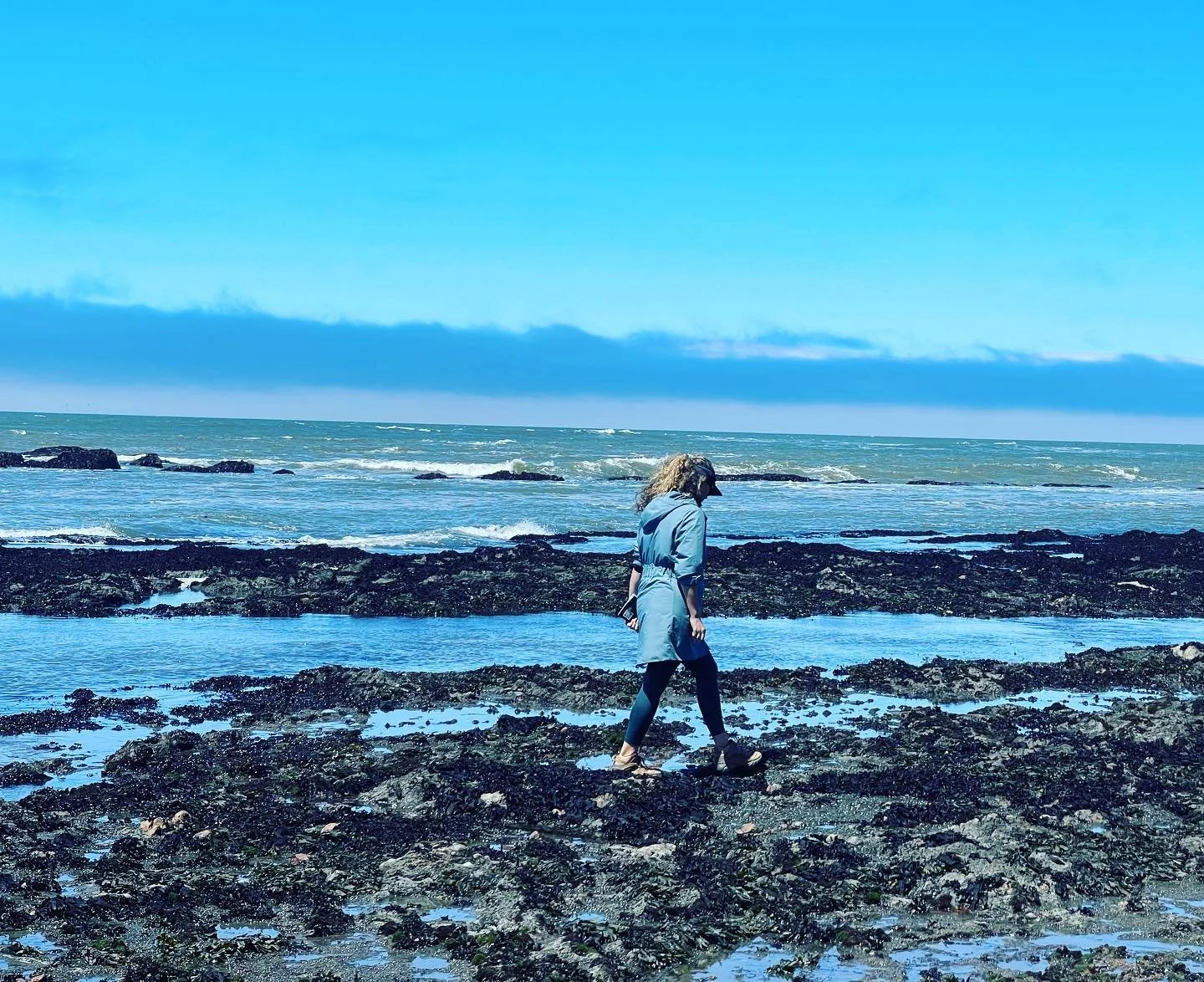 Lovely morning visiting Duxbury Reef at low tide 💙