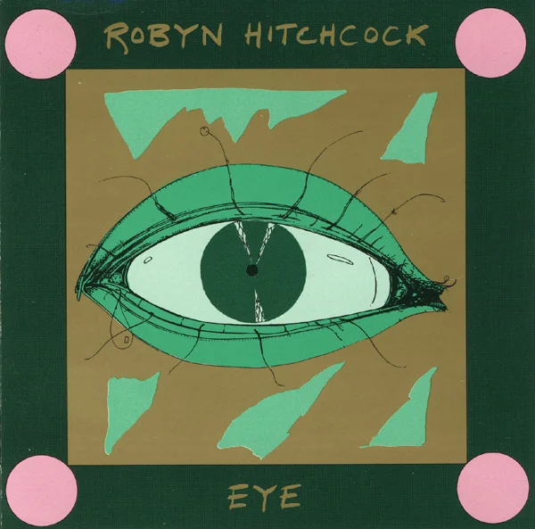 1149575-robyn-hitchcock-eye.jpg
