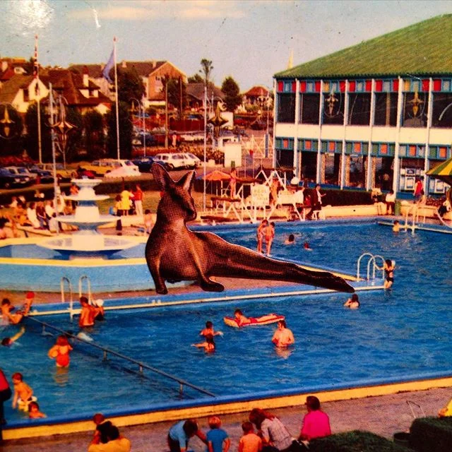 Meanwhile, back in 1961, a visitor has materialized at a British holiday camp where Ringo Starr has a gig with Rory Storm &amp; the Hurricanes #beatles #morebeatles #godilovethebeatles #tinykangaroodown...