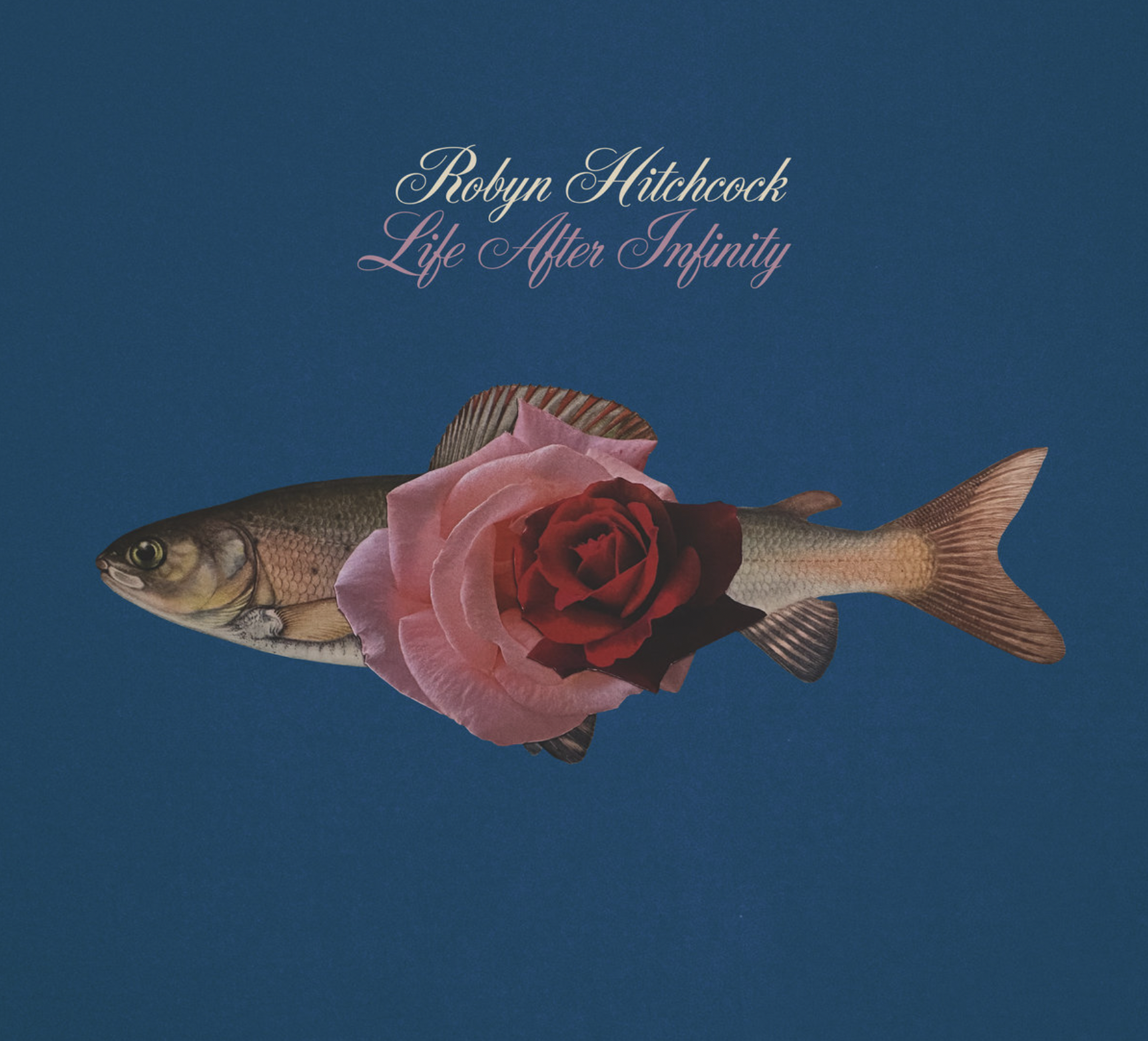 Life after infinity.png