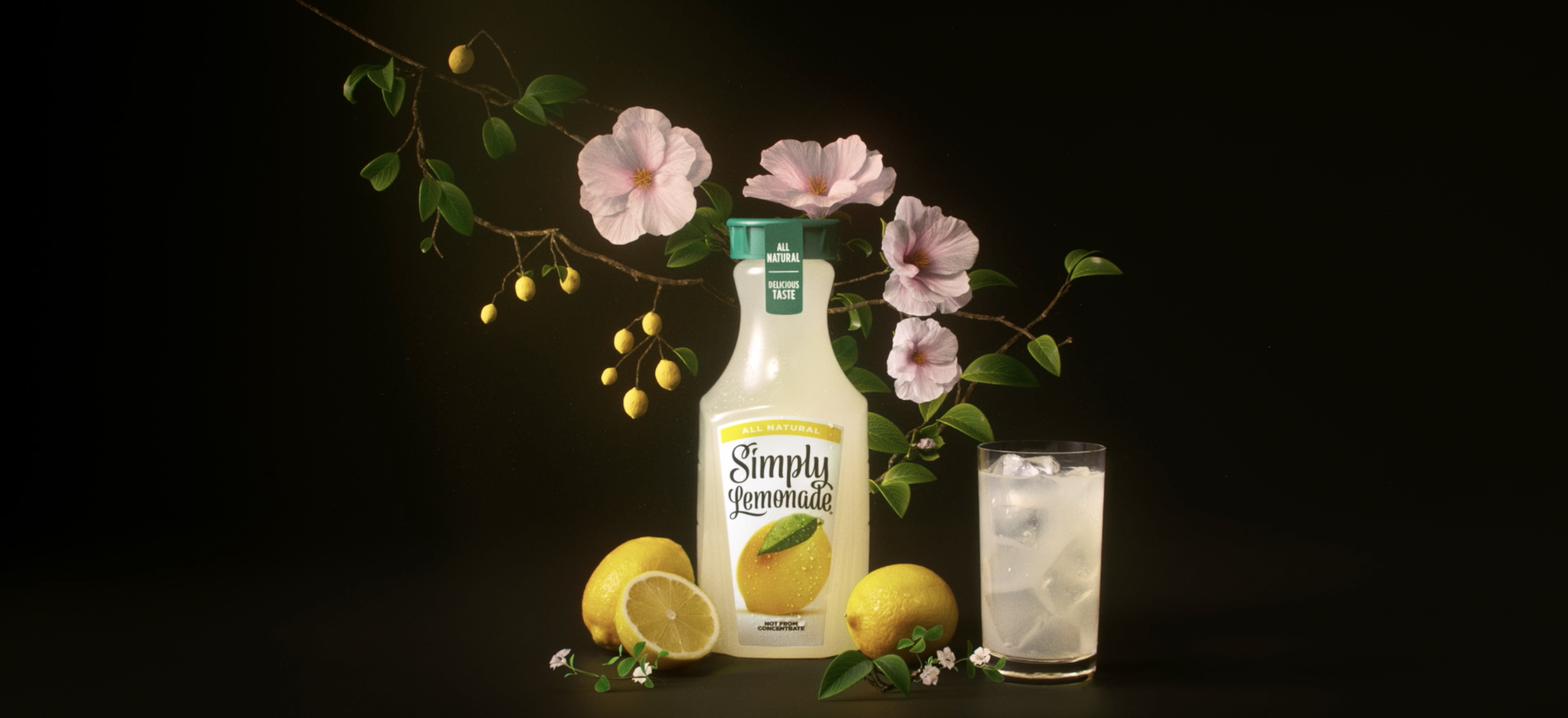 Screen Shot 2024-08-25 at 10.34.27 PM.png