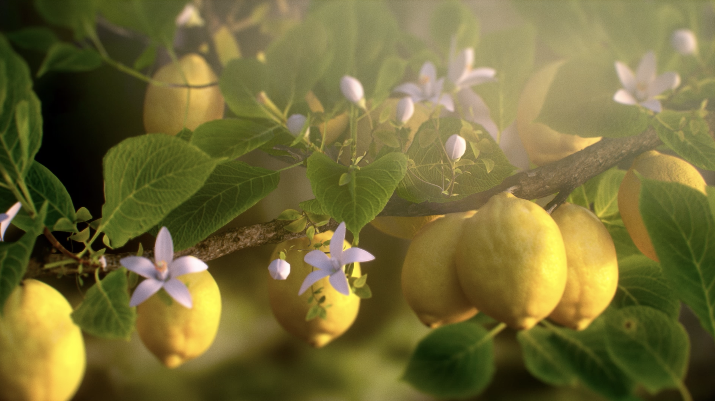 Screen Shot 2024-08-25 at 10.33.55 PM.png