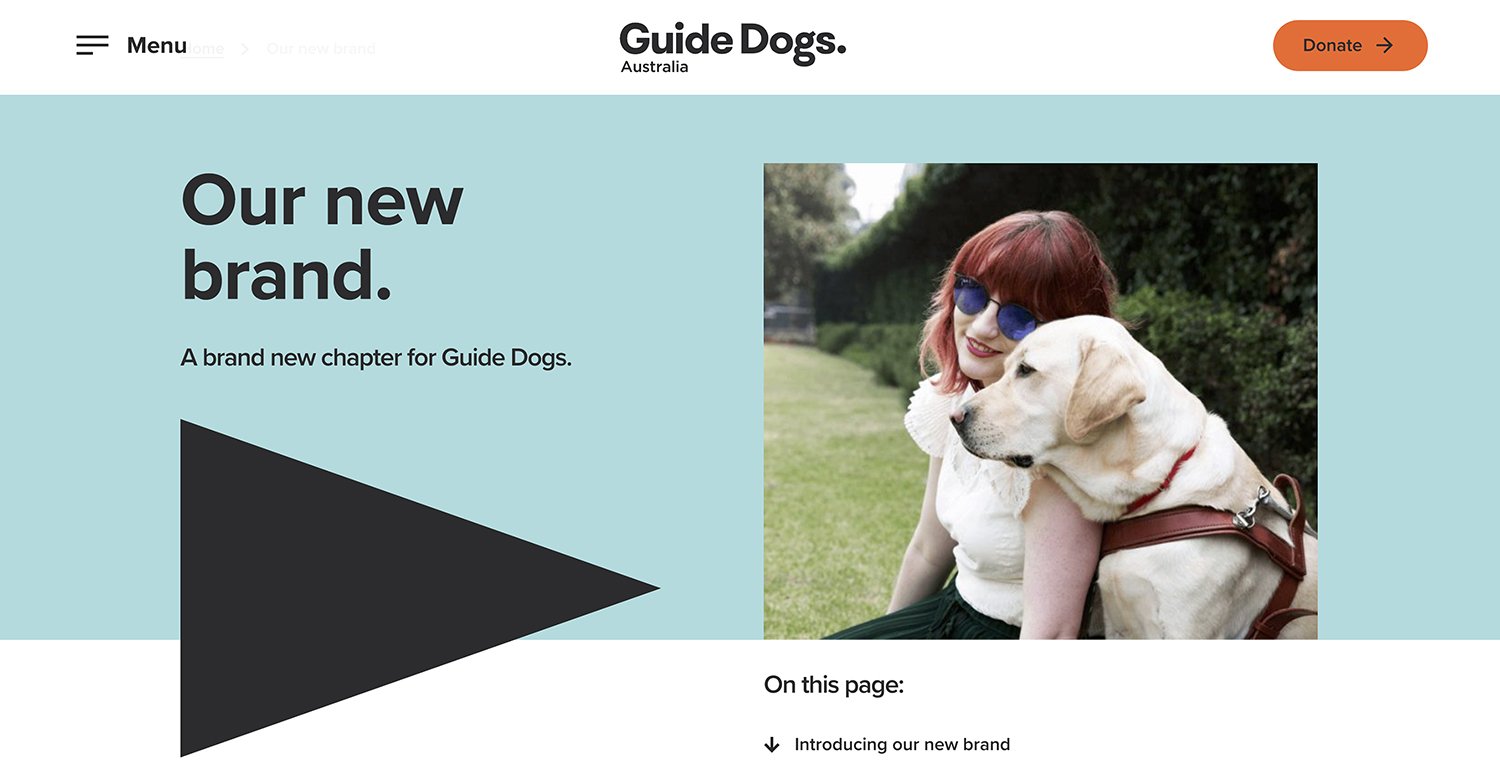Guide_Dogs_kristie_lee_photographer_01.jpg