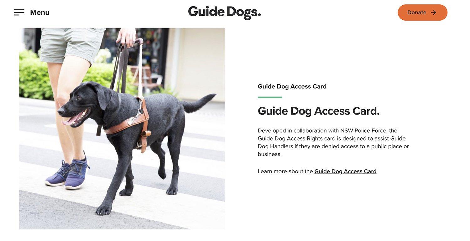 Guide_Dogs_kristie_lee_photographer_04.jpg