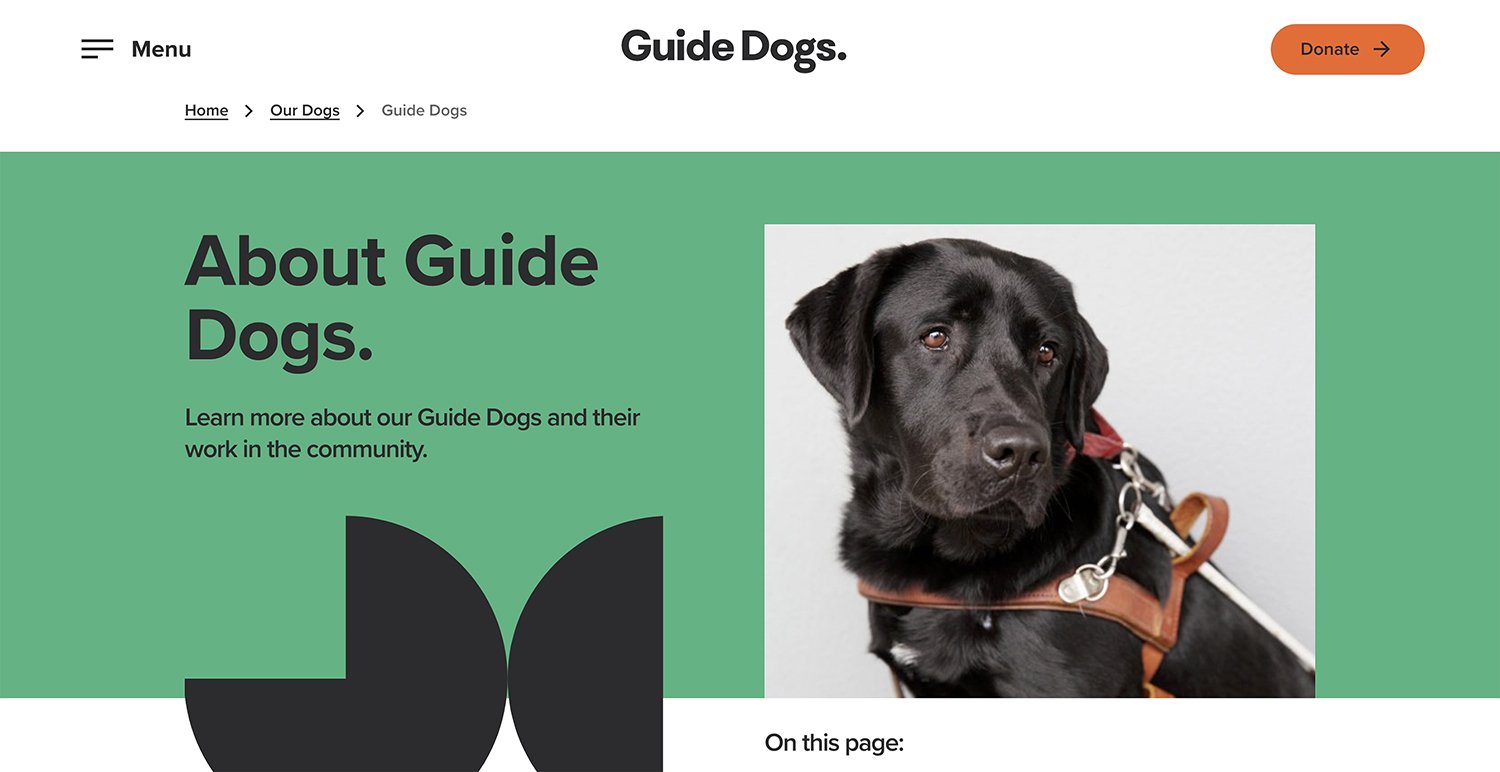 Guide_Dogs_kristie_lee_photographer_08.jpg