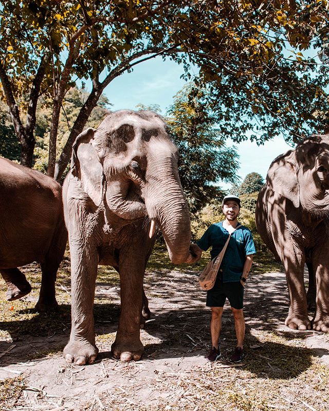 Spent an amazing day feeding, hiking in the mountains, and taking a bath with some friendly elephants! 🐘