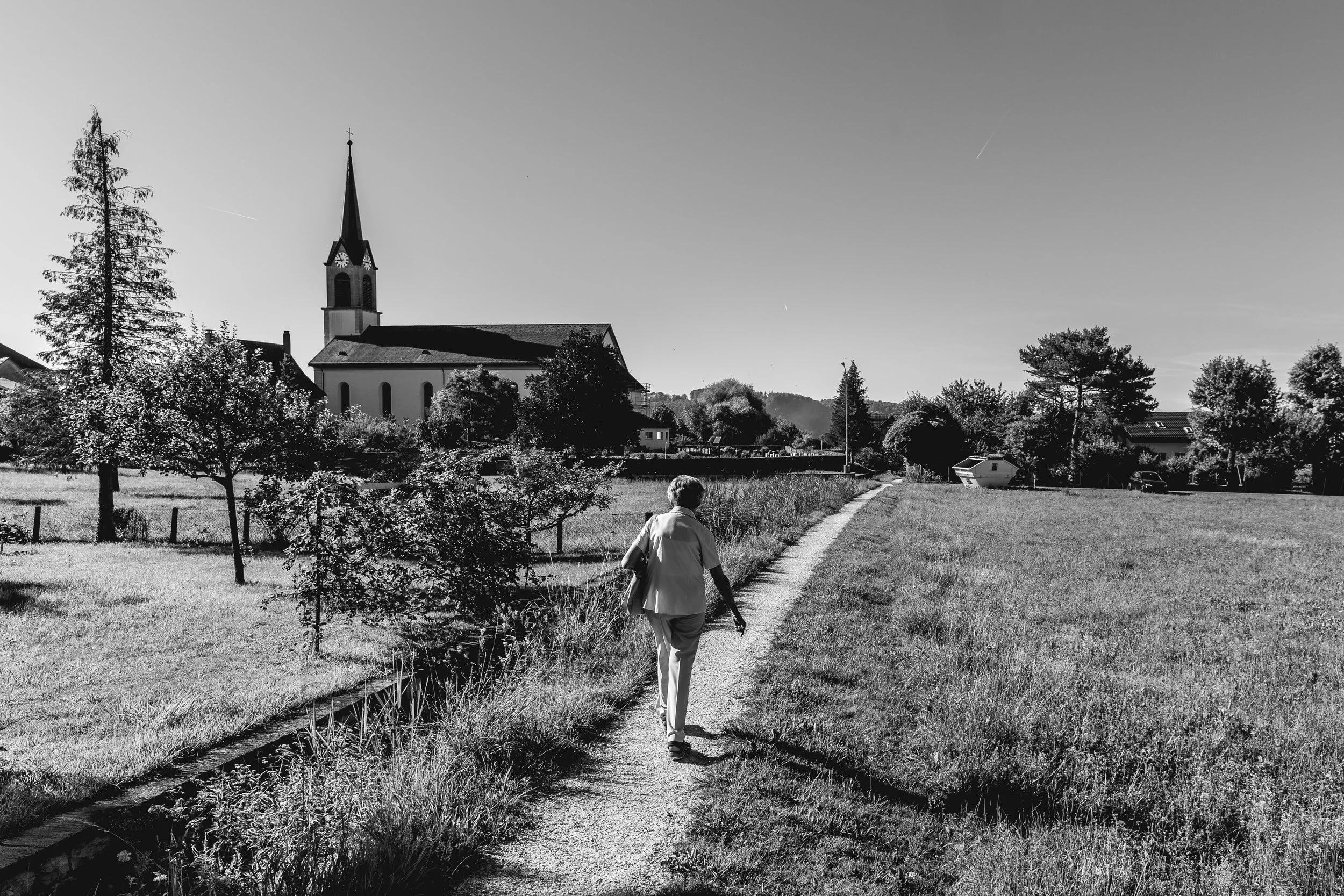 O36C7390.jpg