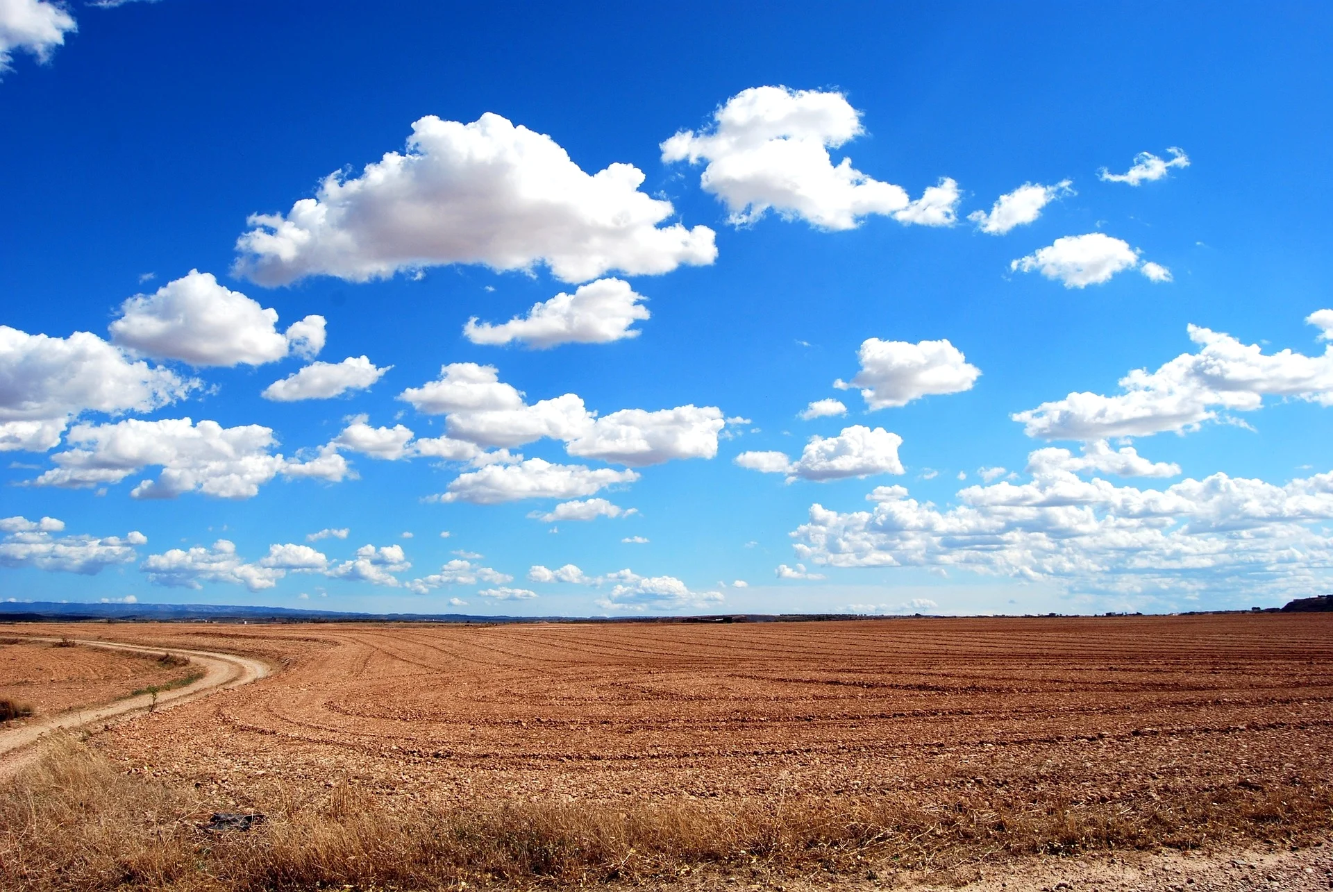 field-533541_1920.jpg