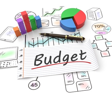 Budgeting for profit