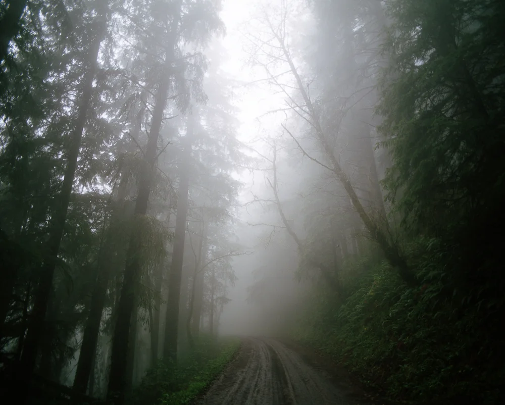 scan407439.JPG