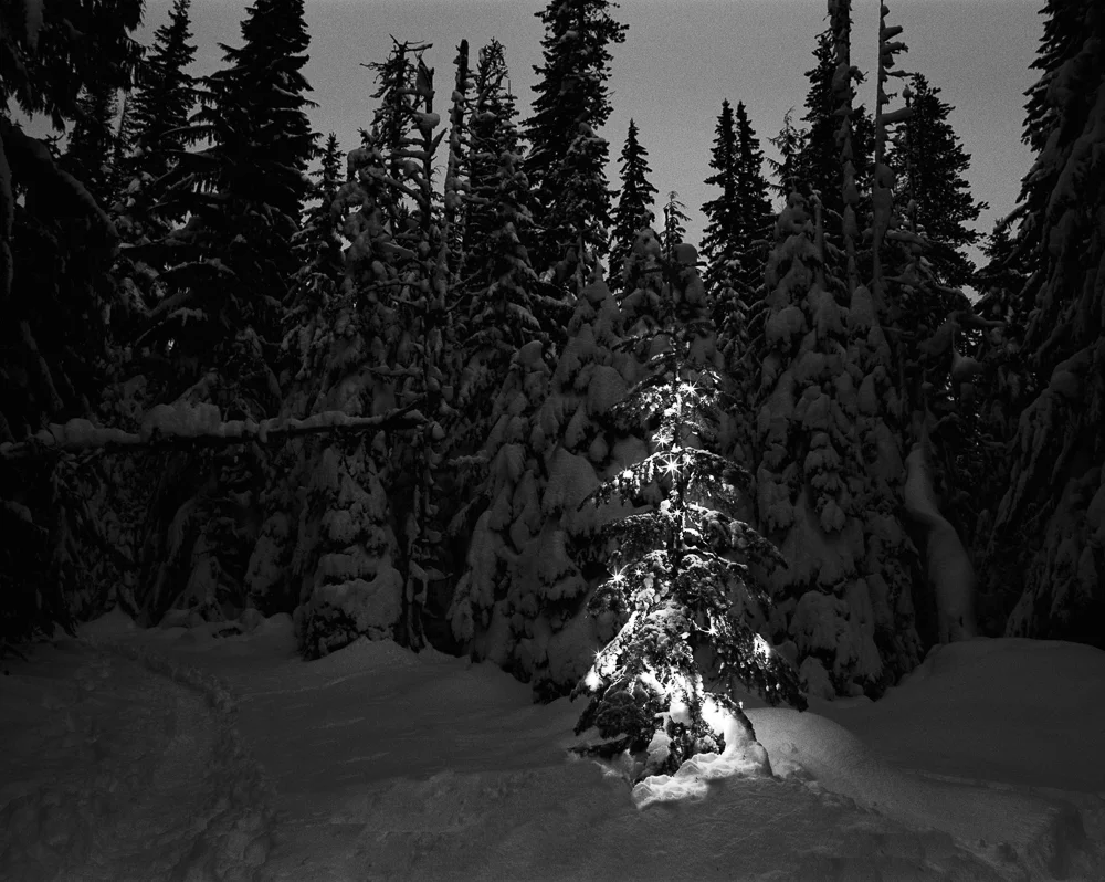 Pentax_winter_Jan-8-Edit.JPG