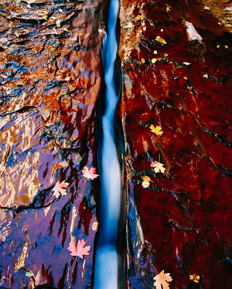 untitled-1.jpg
