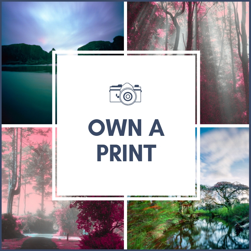 Angela Holm Photography Prints